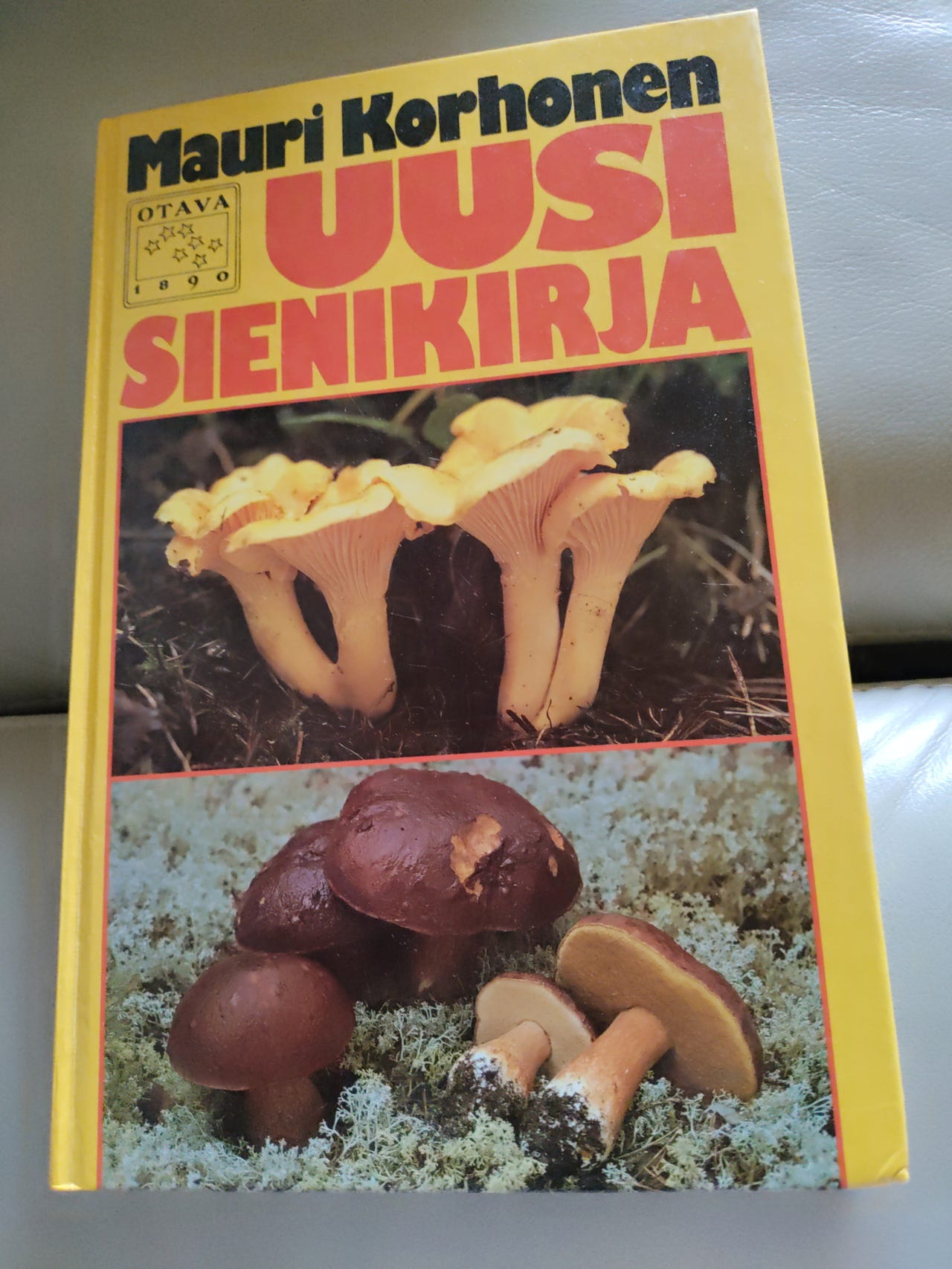 Sienikirja