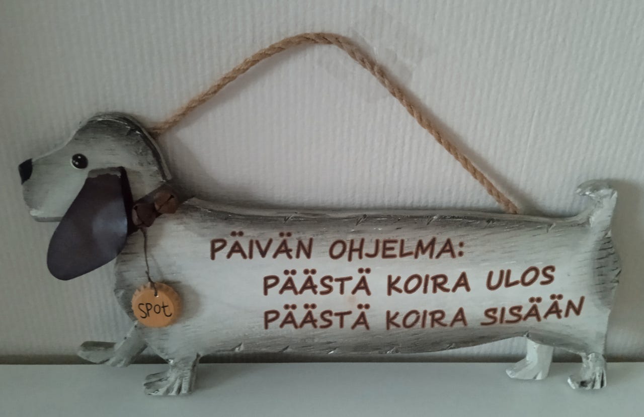 Koira koriste