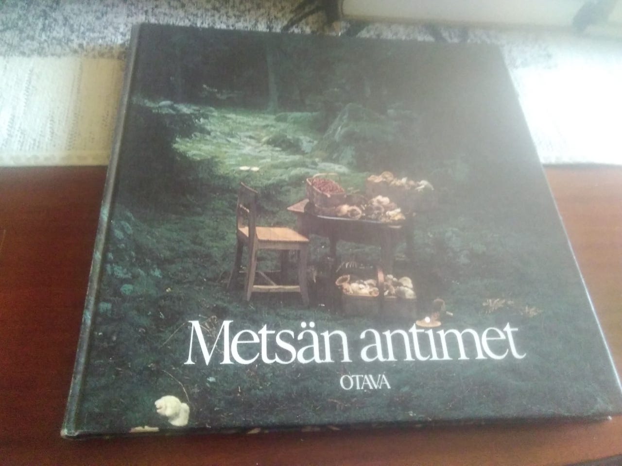 Metsän antimet. Lars Falk
