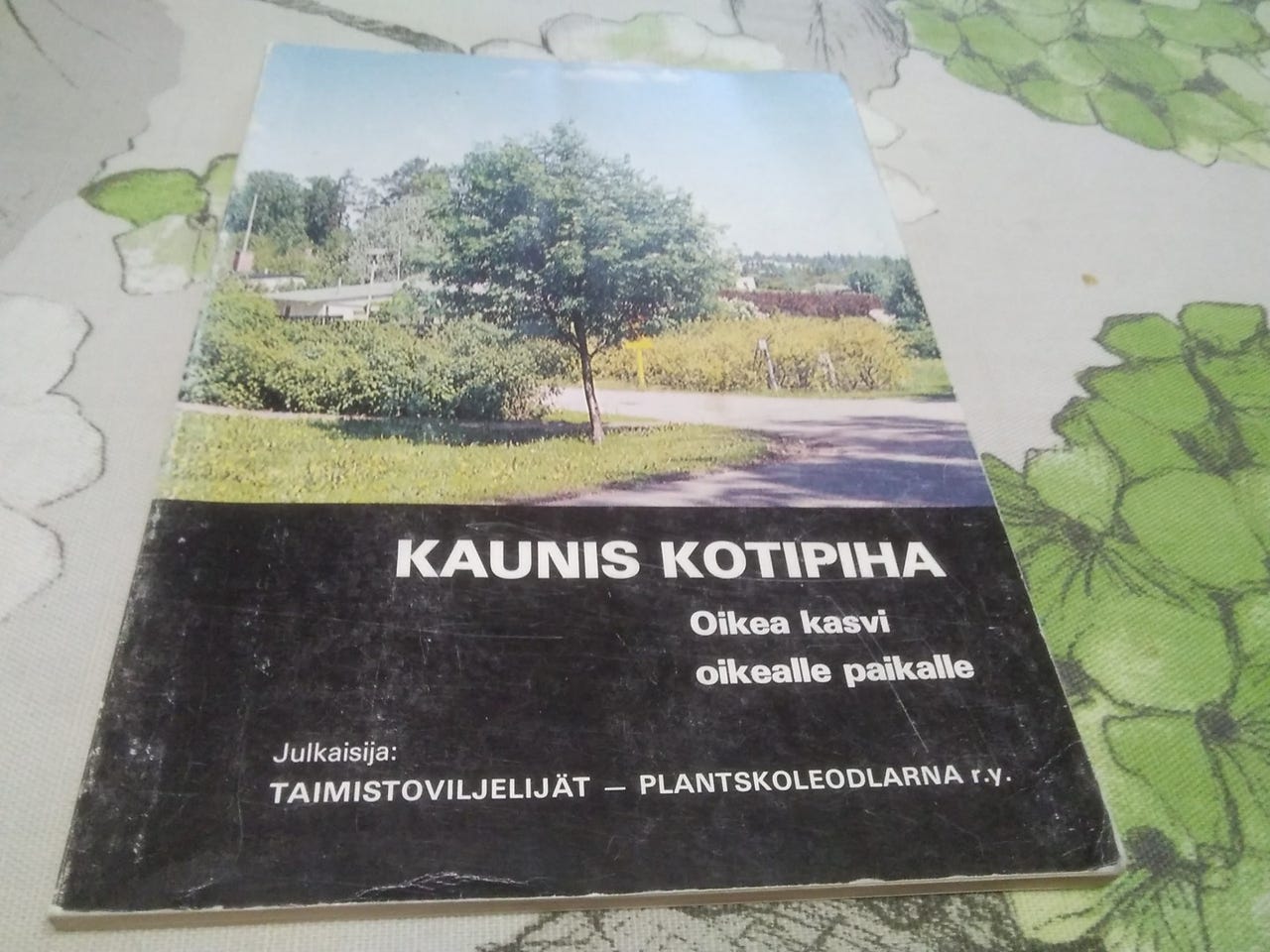 Kaunis kotipiha