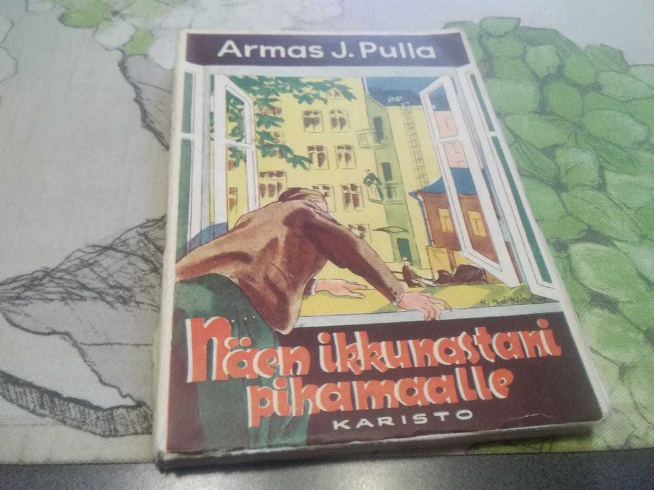 Näen ikkunastani pihamaalle. Armas J. Pulla