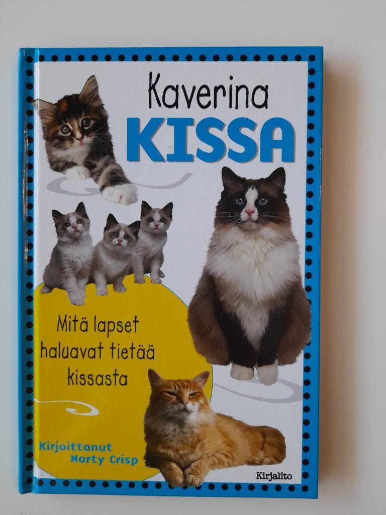 Kaverina kissa