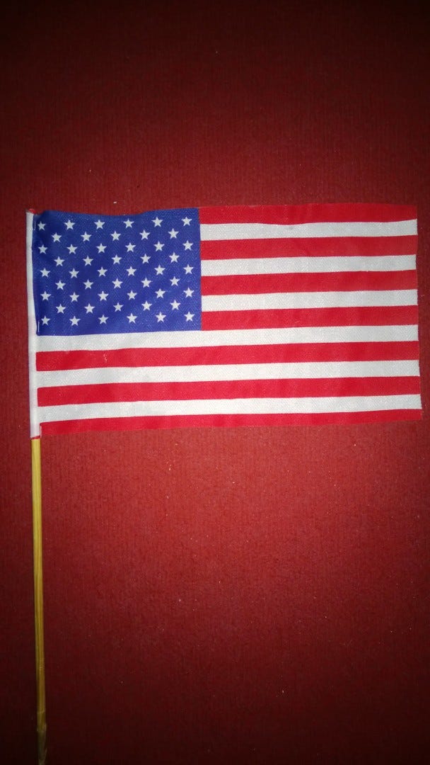 USA Pienoislippu