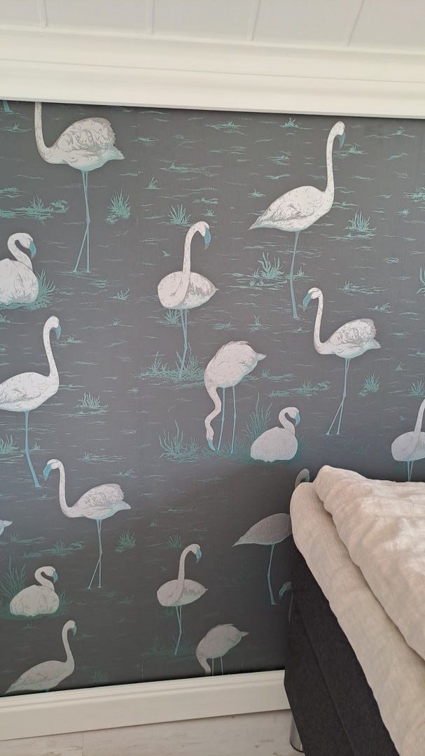 Cole&Son Flamingo tapetti 1 rulla