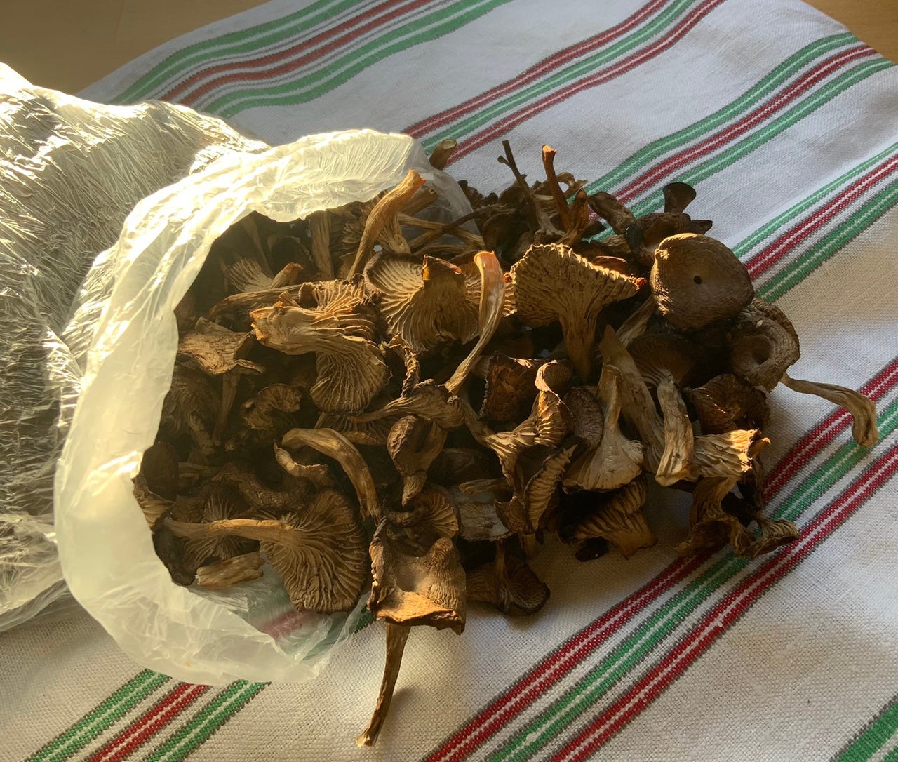 Kuivattu suppilovahvero / kuivattuja suppilovahveroita, 12€/100g,