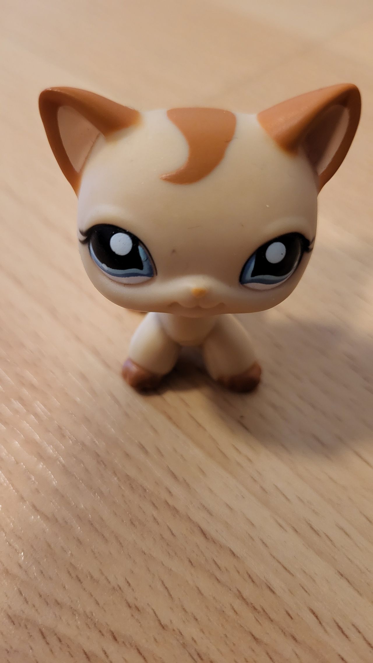 Littlest Pet Shop Authentic Shorthair Cat 1024 Tori