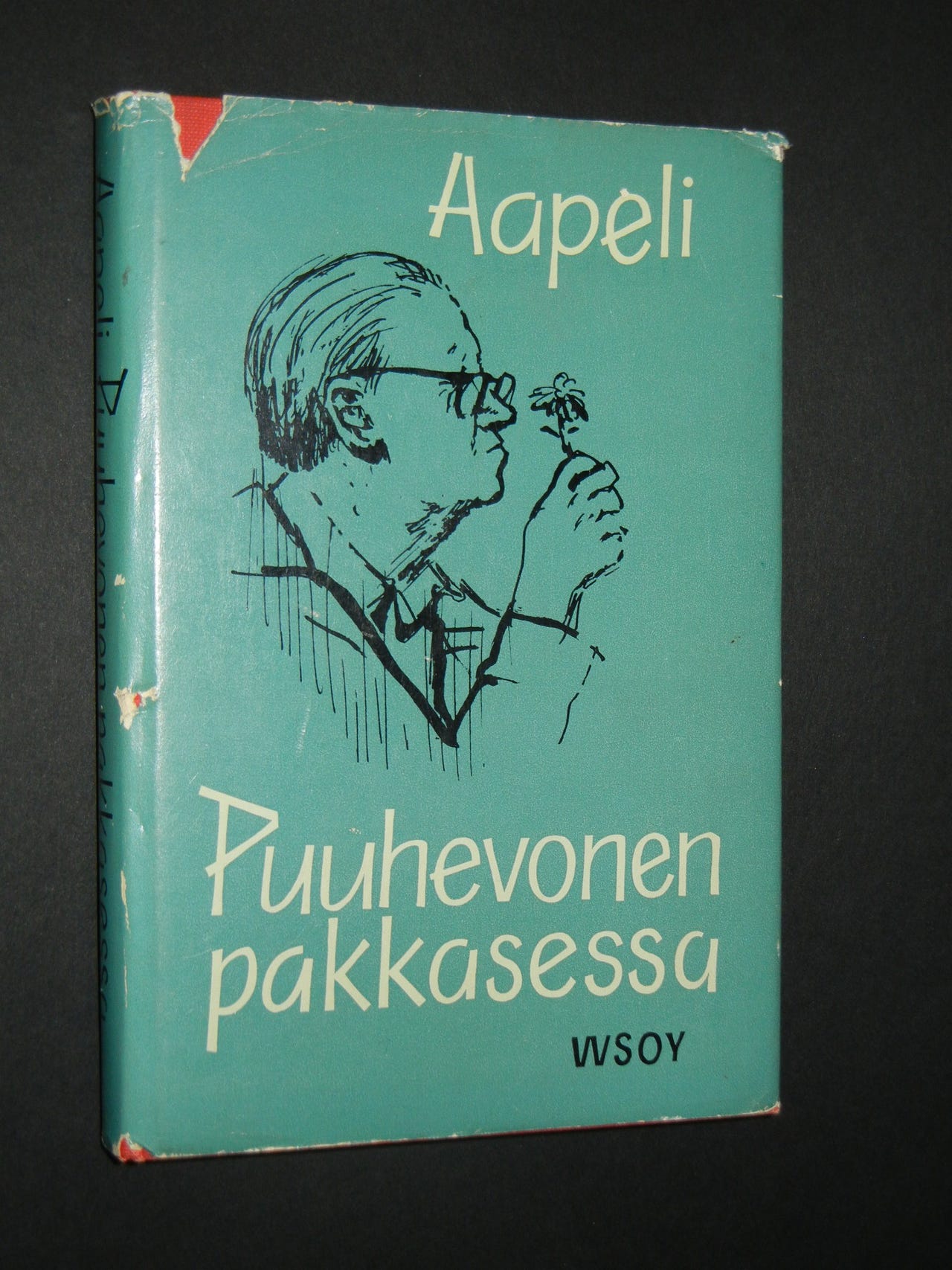 Aapeli: Puuhevonen pakkasessa
