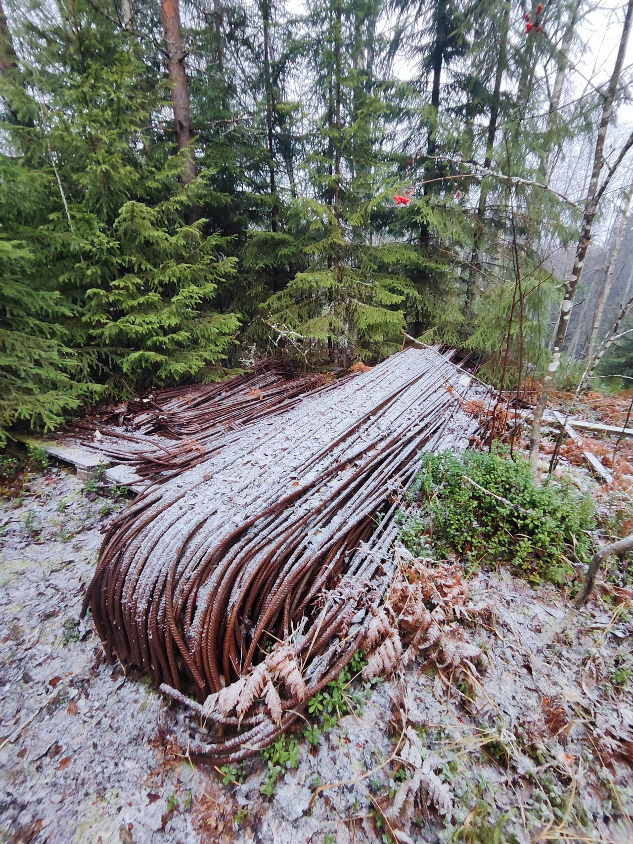Harjateräs