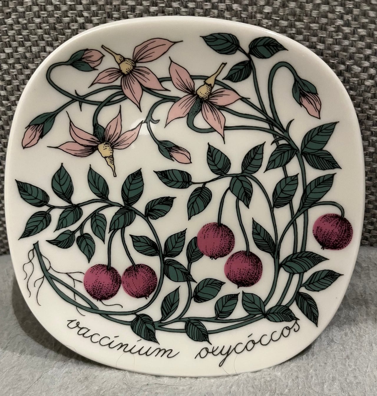 Esteri Tomula Botanica Karpalo seinälautanen