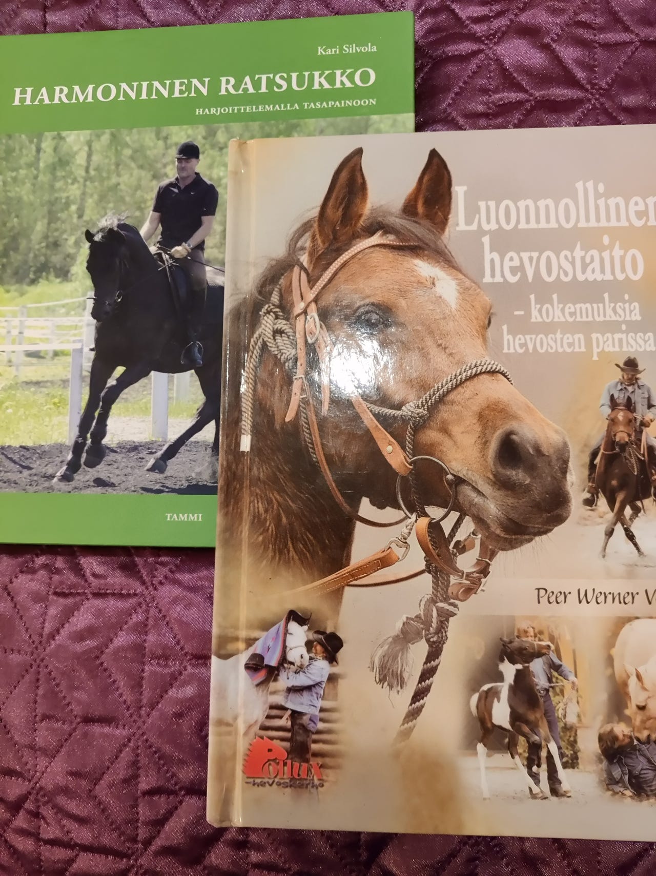 2 hevosaiheista kirjaa