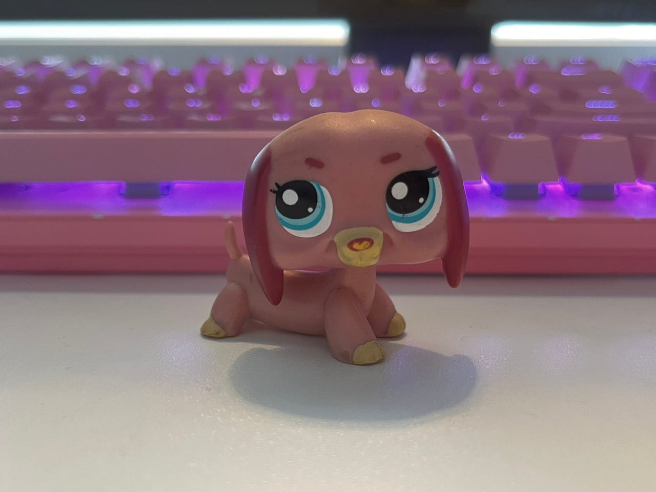 Pinkki mäyräkoira LPS