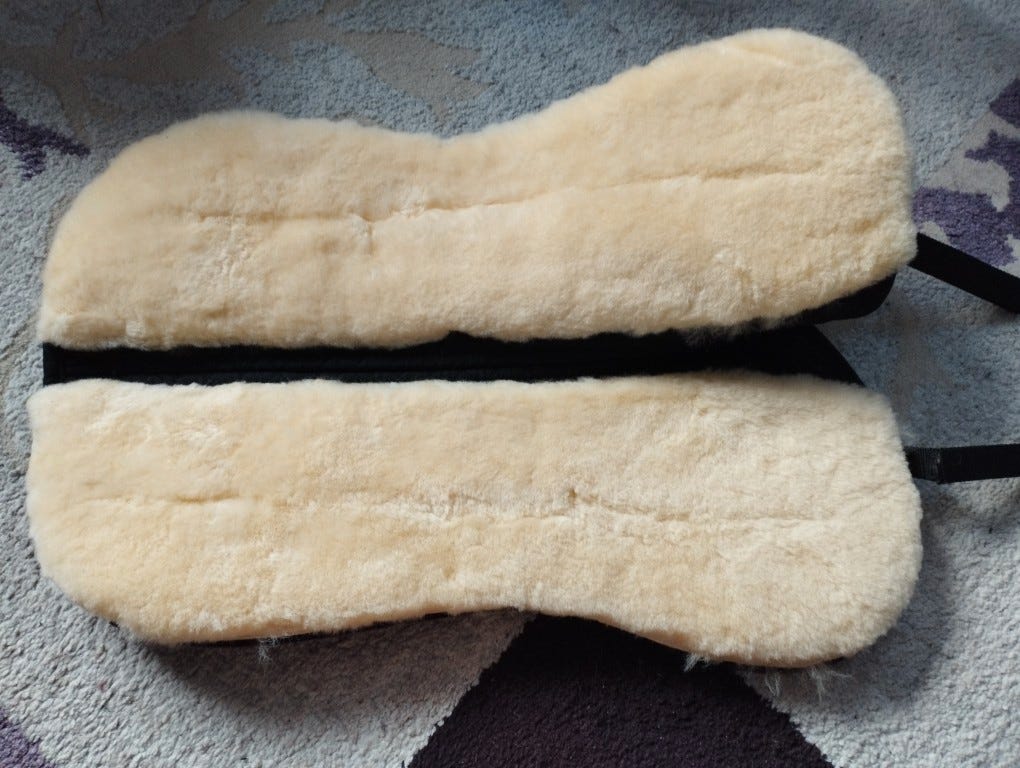 Uusi lampaankarvaromaani L