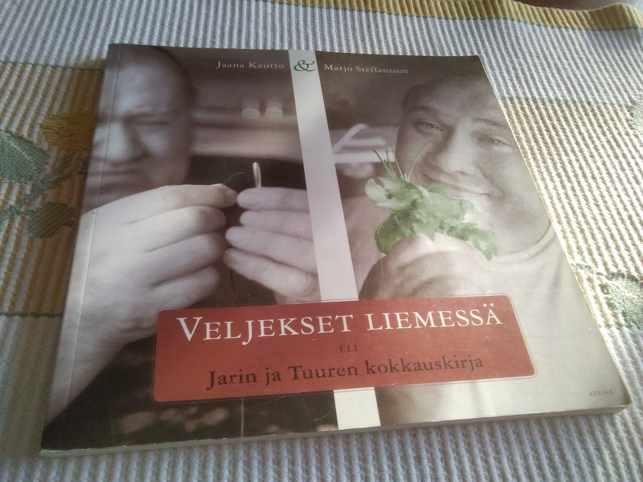 Veljekset liemessä