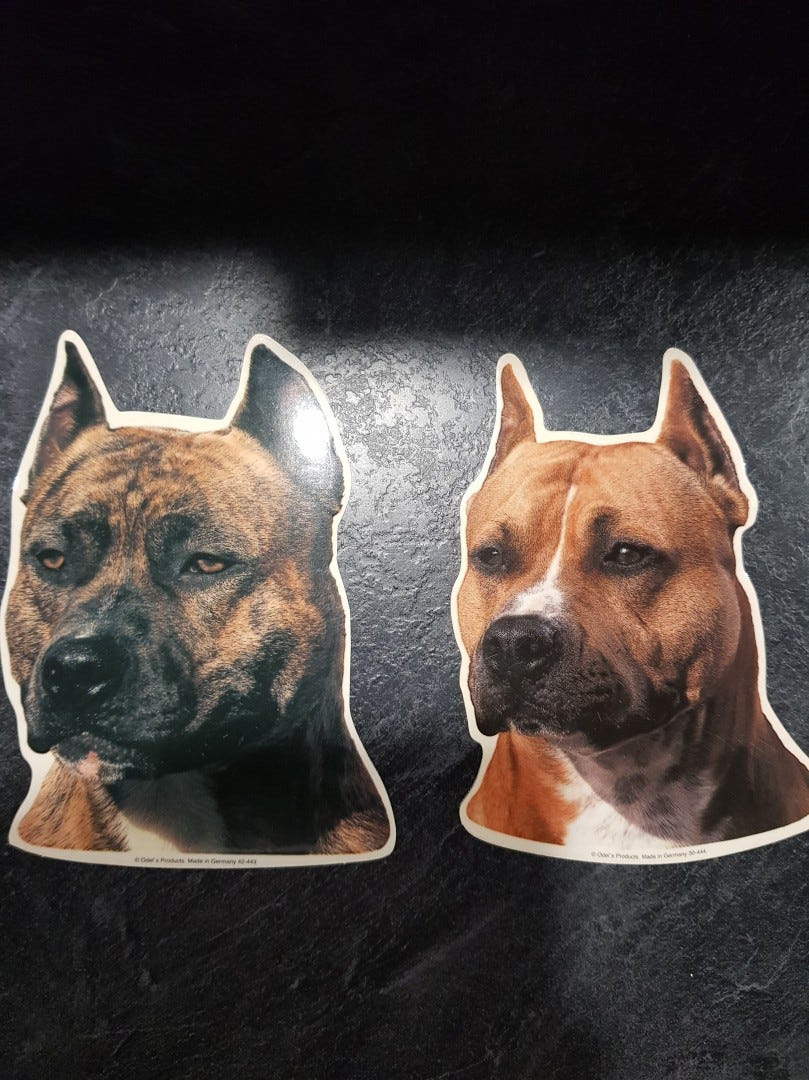 Kaksi Amstaff tarraa