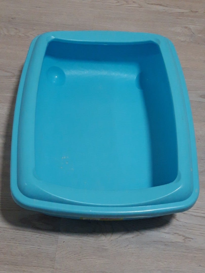 Kissan hiekkalaatikko