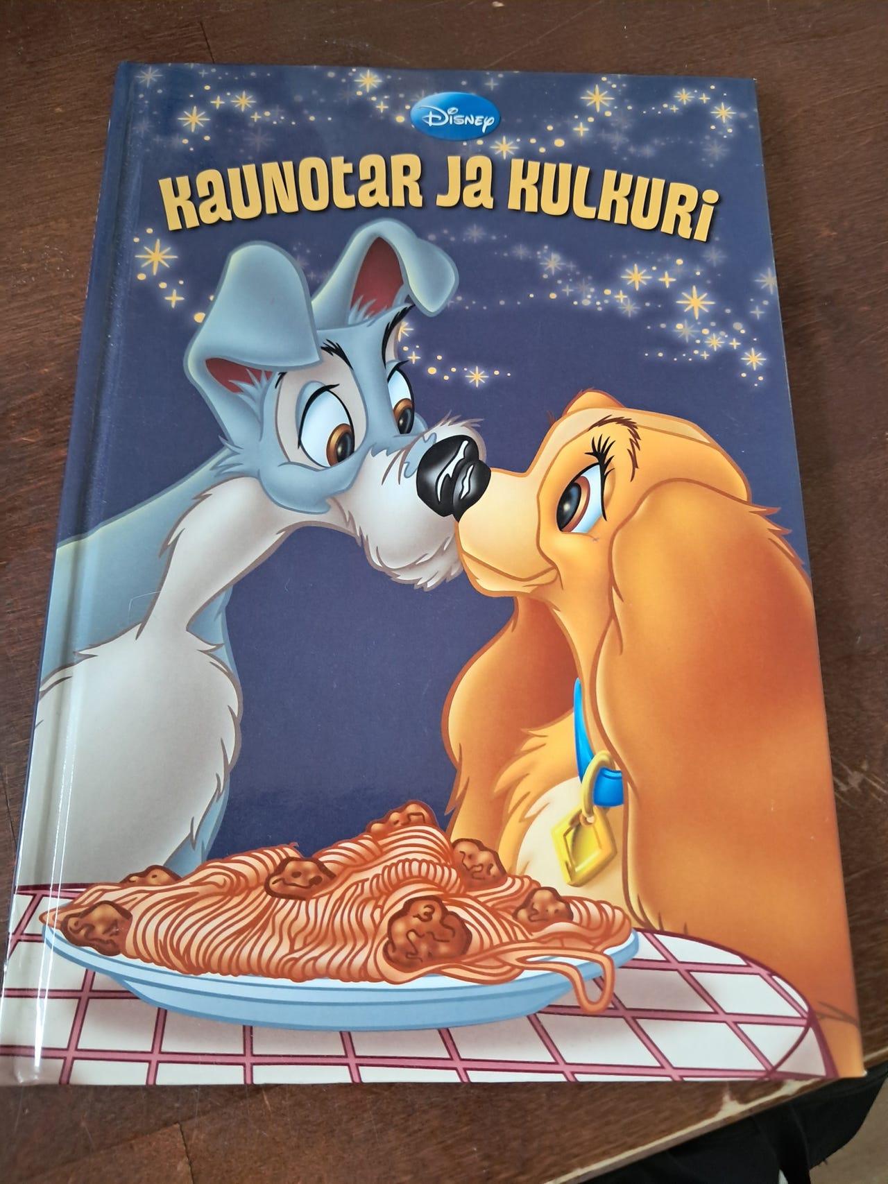 Kaunotar ja kulkuri
