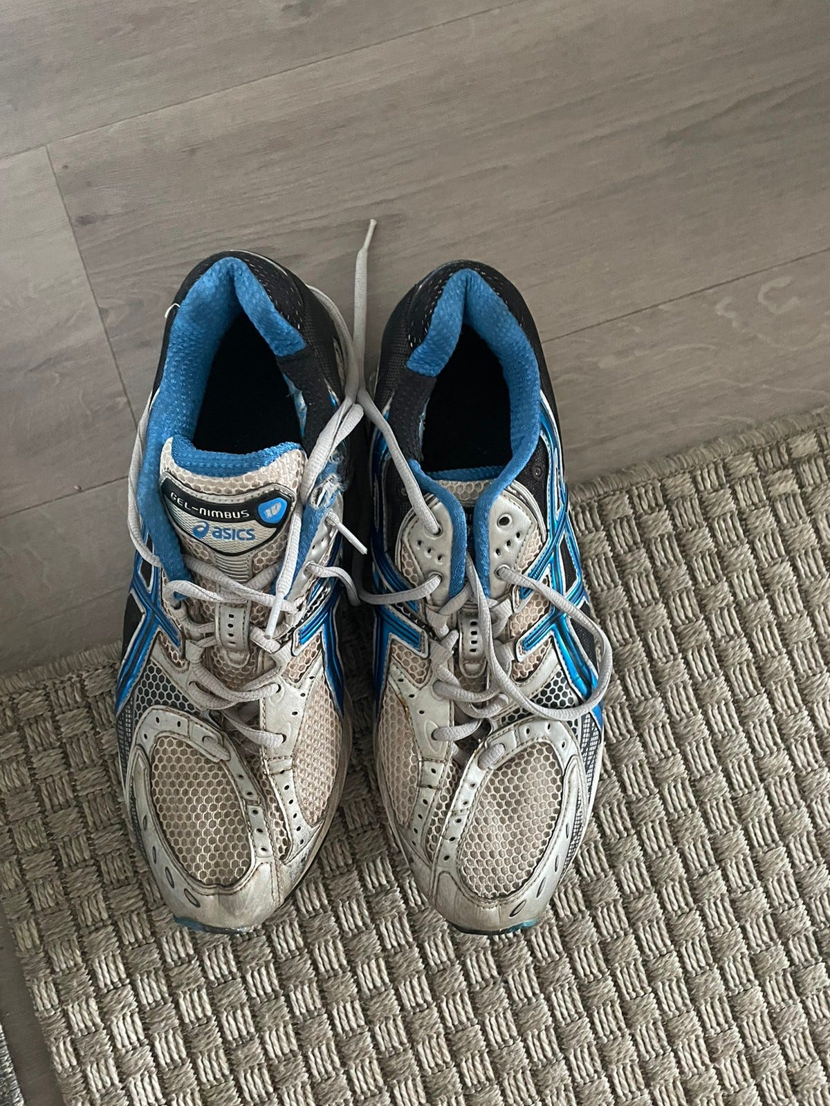 gel nimbus 45