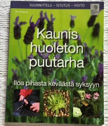 Kaunis huoleton puutarha