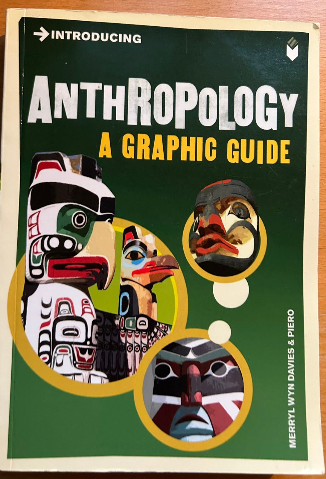 Introducing Anthropology: A Graphic Guide
