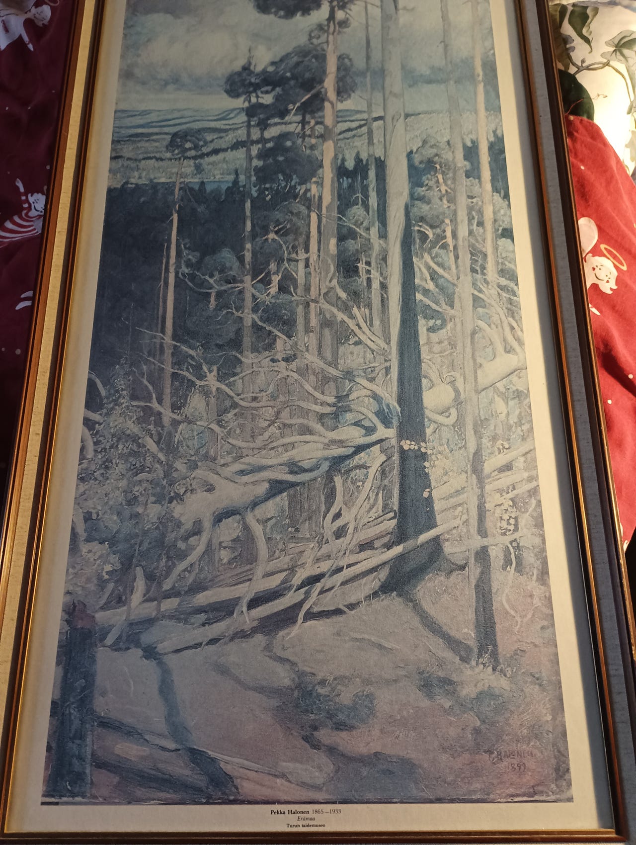 Kehystetty:Erämaa Pekka Halonen taidejuliste | Tori