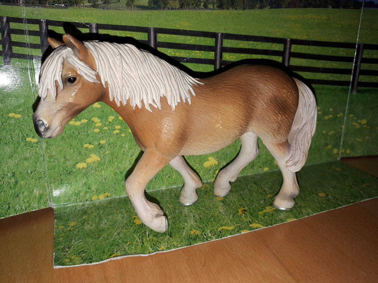 Schleich Haflinger hevonen 13606, 2005 Tori