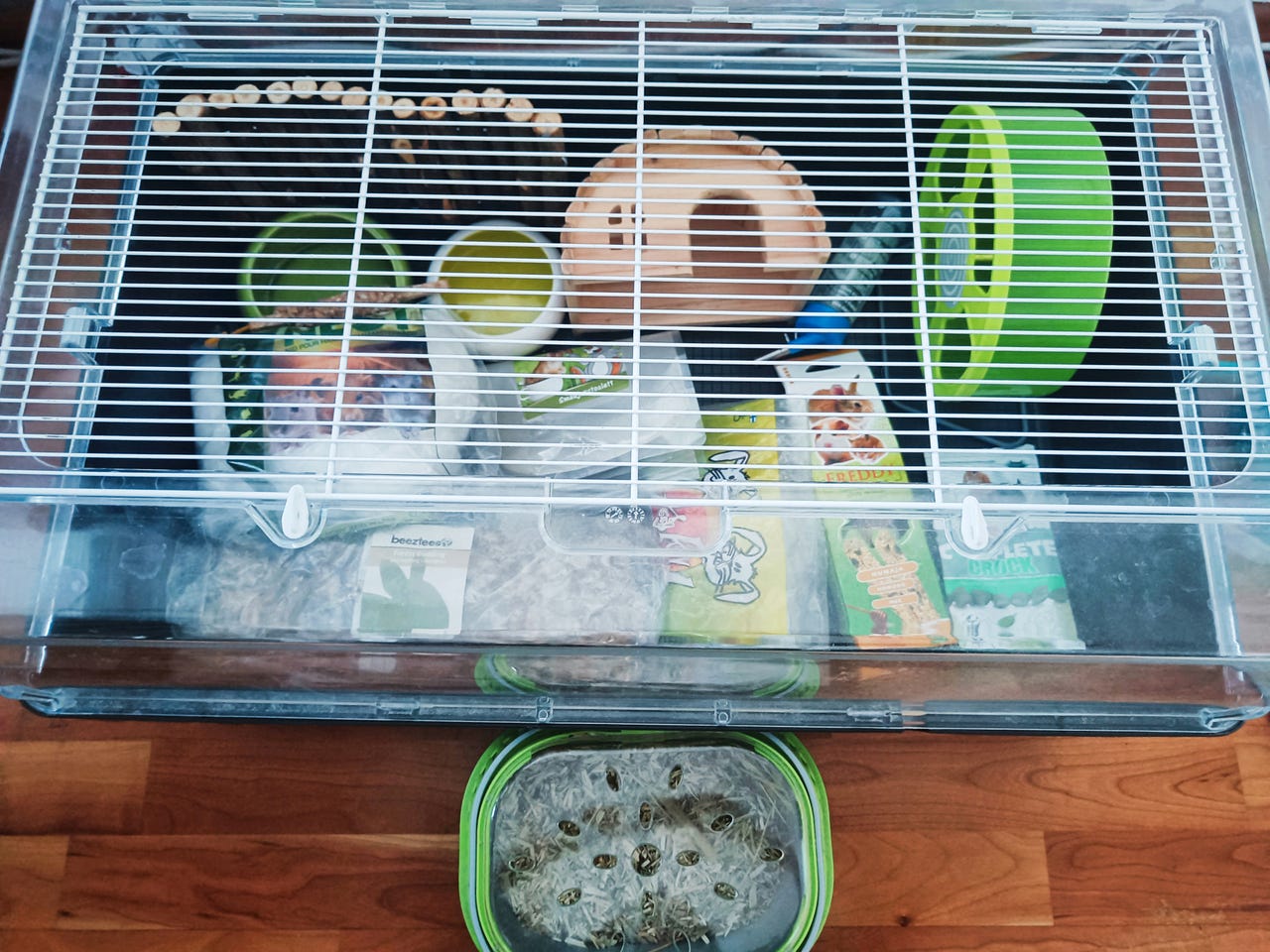 Hamsterin setti