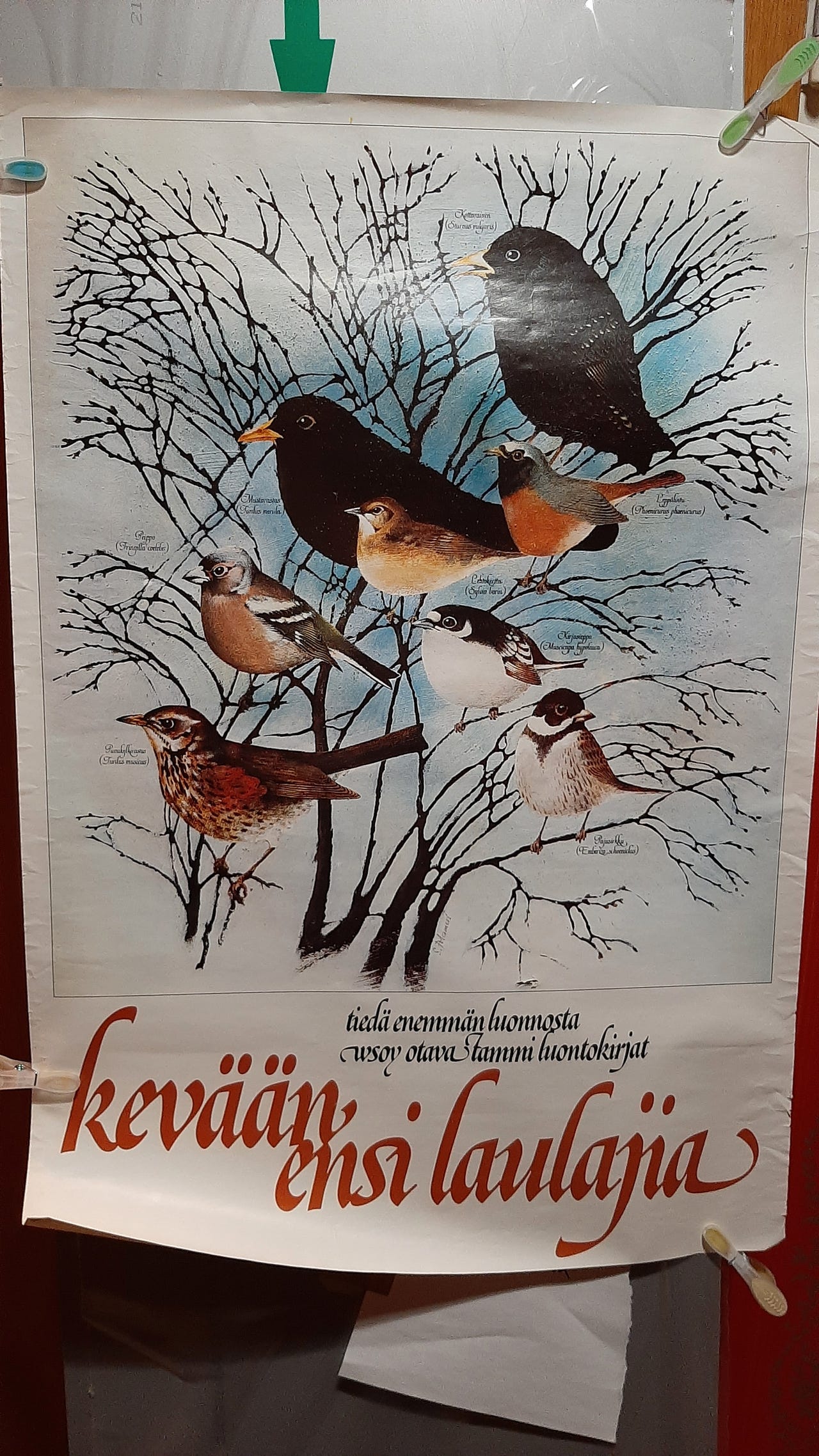 Erilaisia julisteita 1980-luvulta