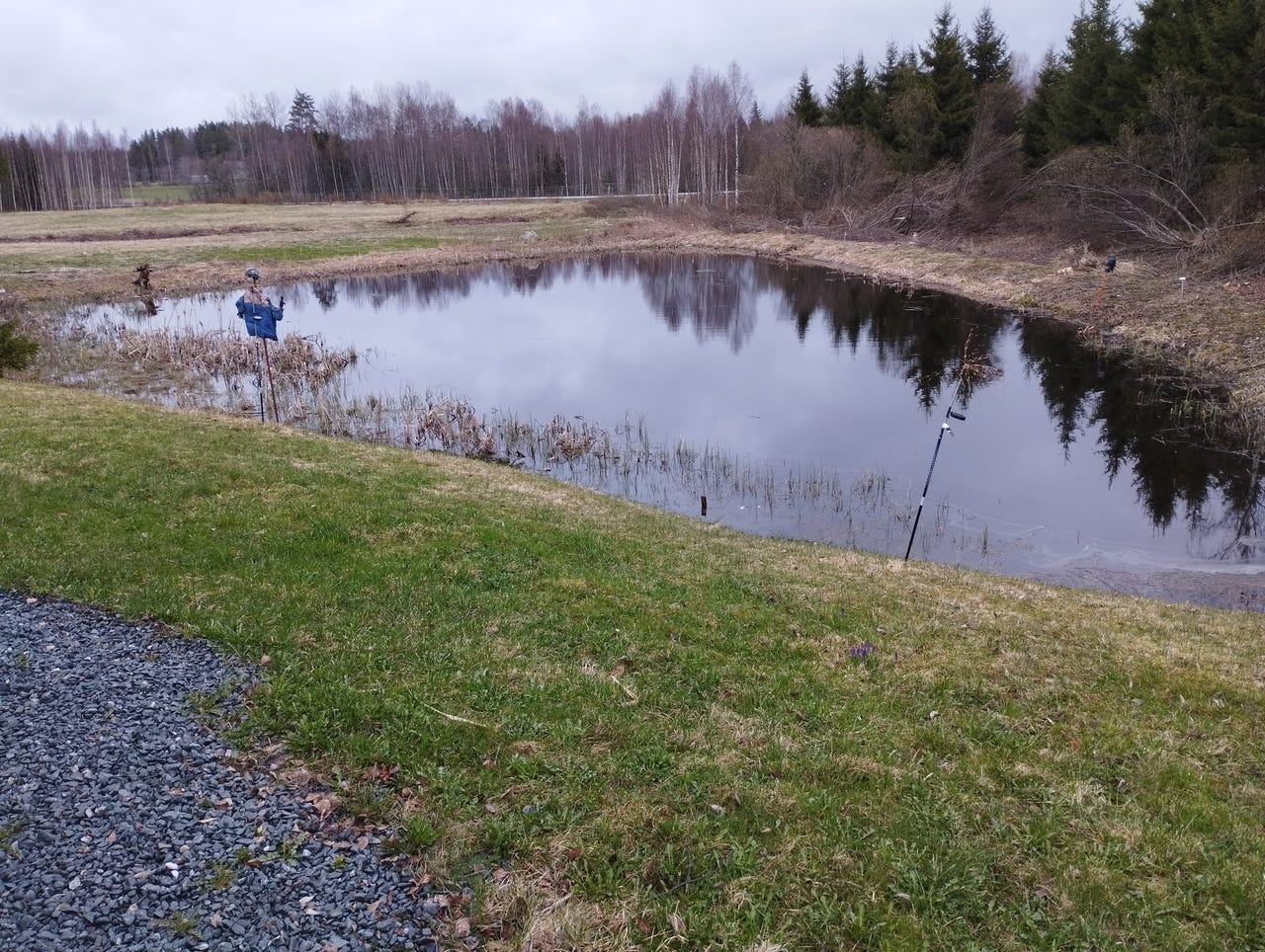 Ruoppausta pieneen lampeen tarvis