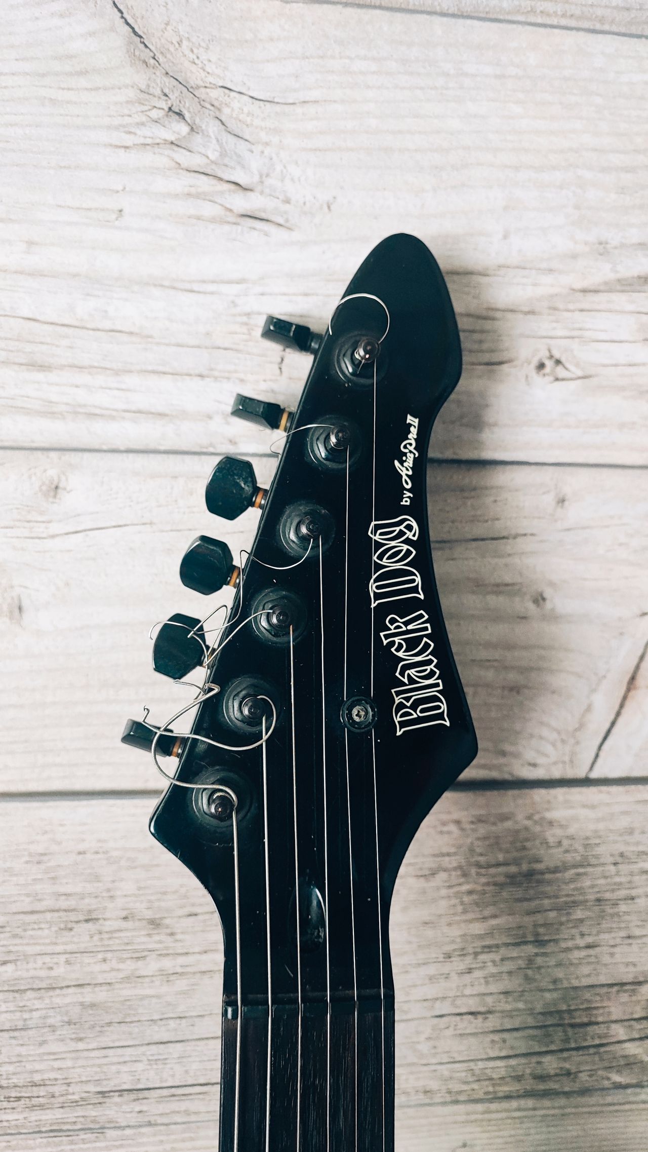 Black Dog by Aria pro Ⅱ ST type mod. Black Dog by Aria Pro 2 strato Made in Japan | Tori