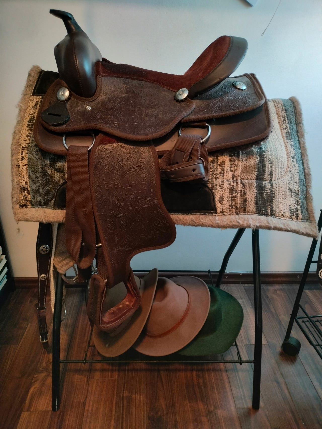 Western satula ponille