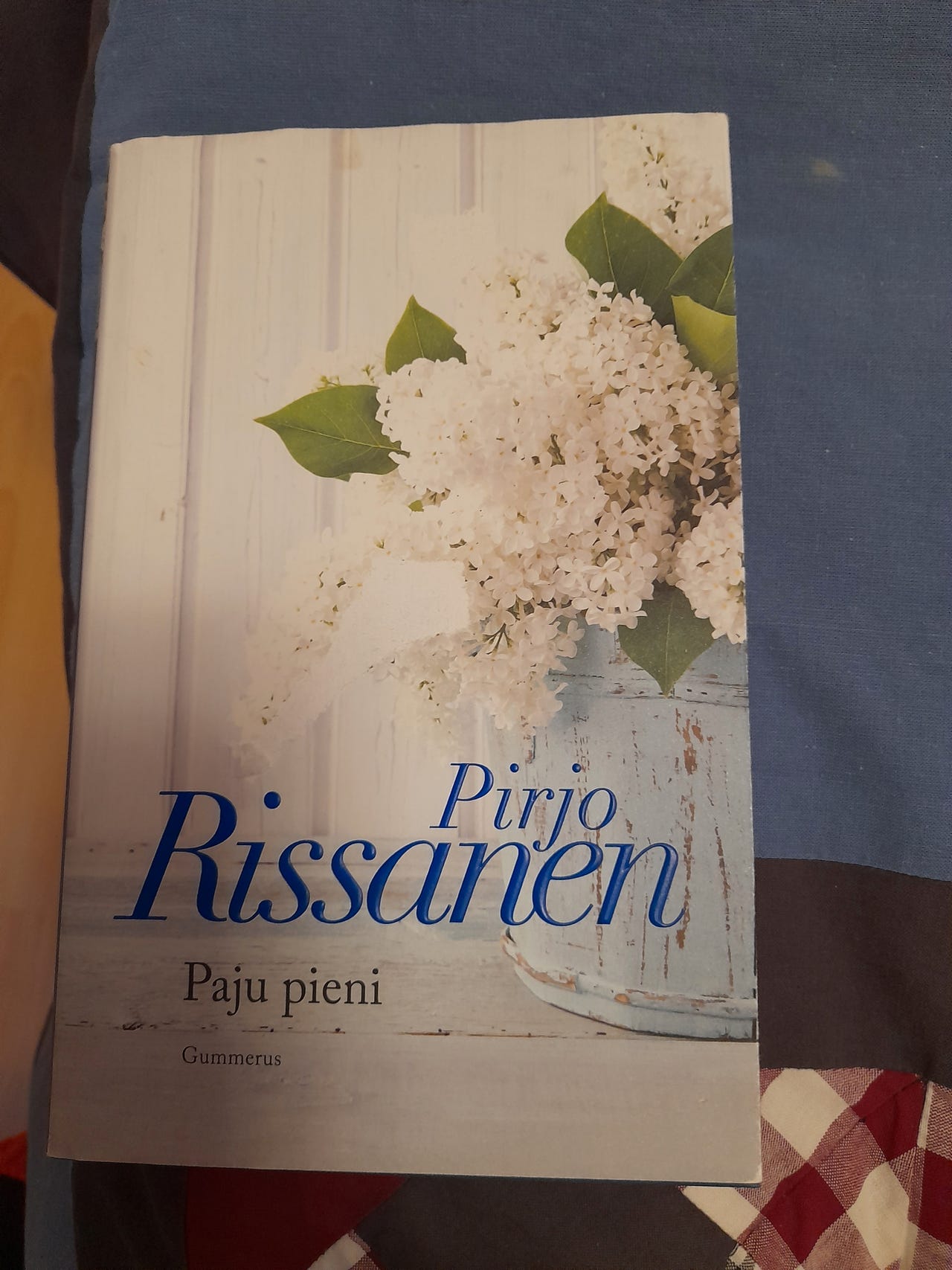 Pirjo Rissanen. Paju pieni.