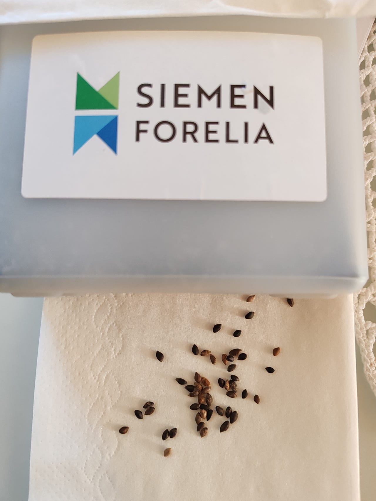 Männyn Siemeniä 46g