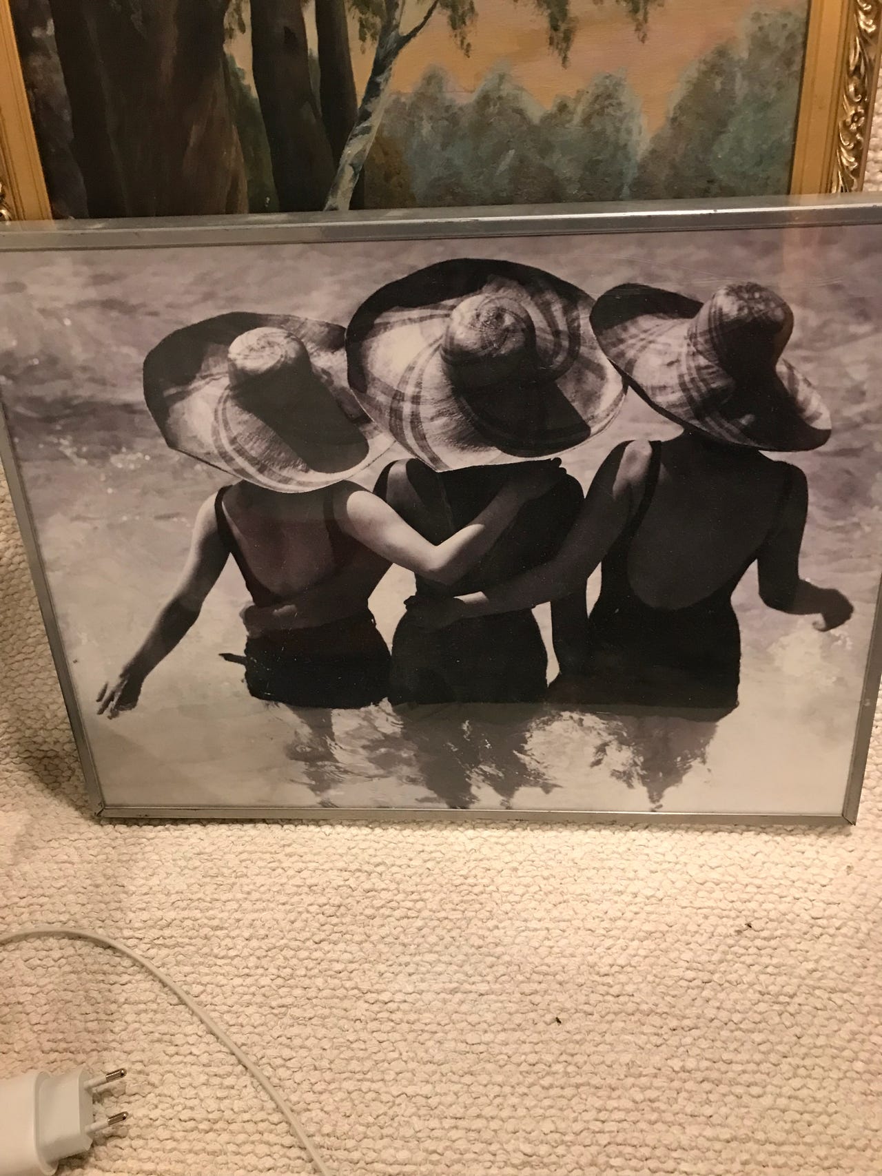 IKEA Taulu Mustavalkoinen 40 x 30cm
