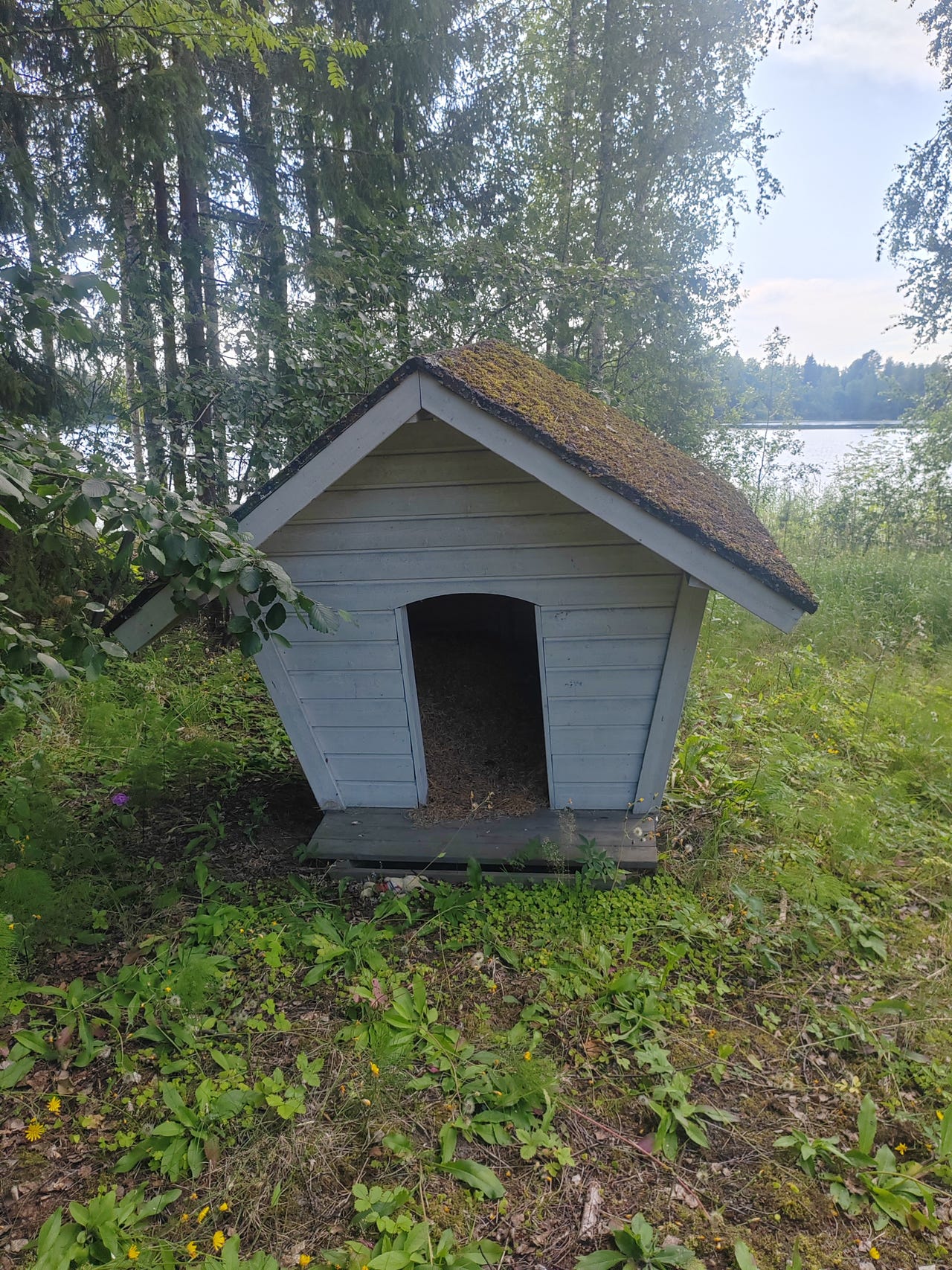 Annetaan koirankoppi