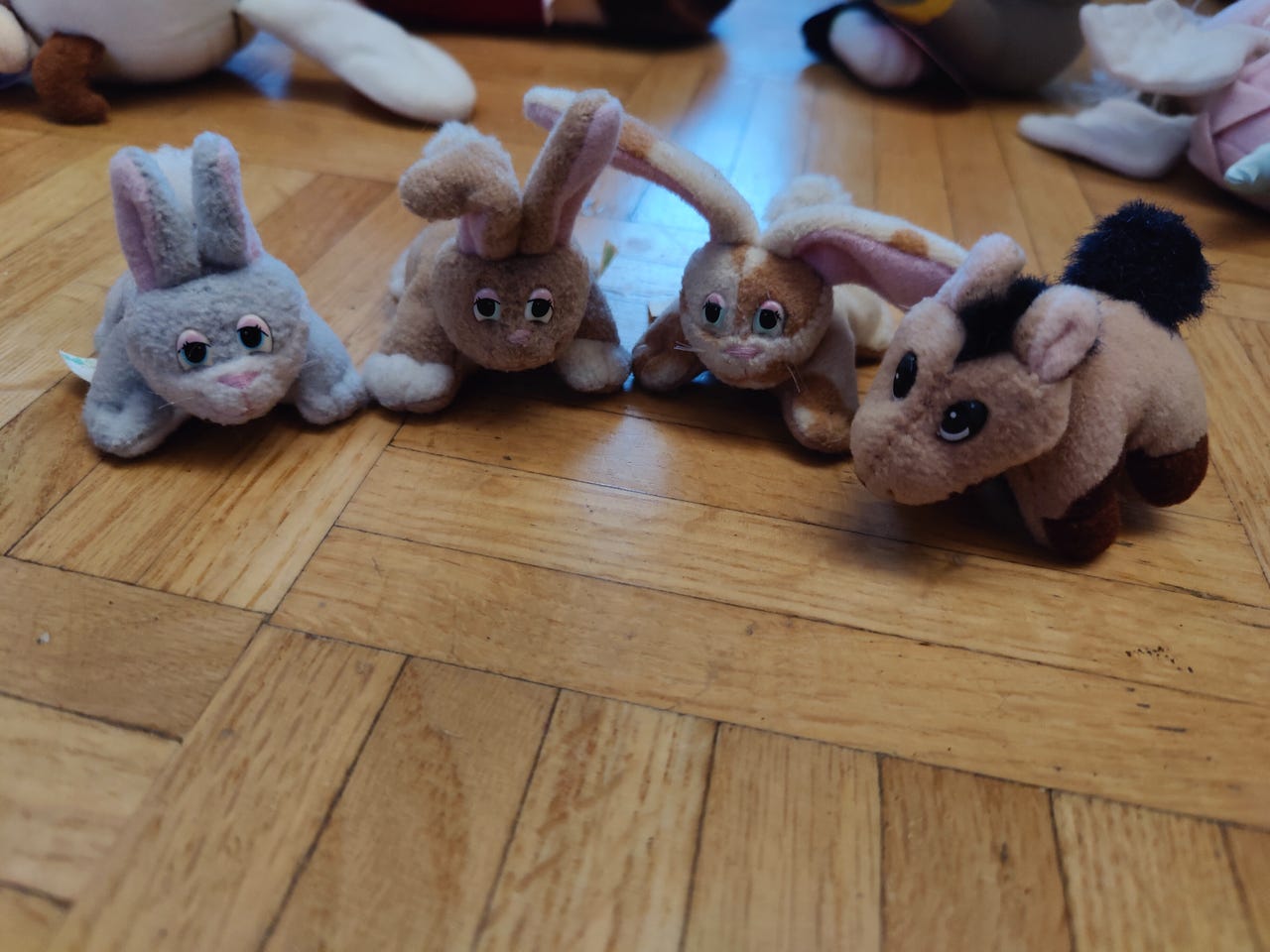 Mini pound animals