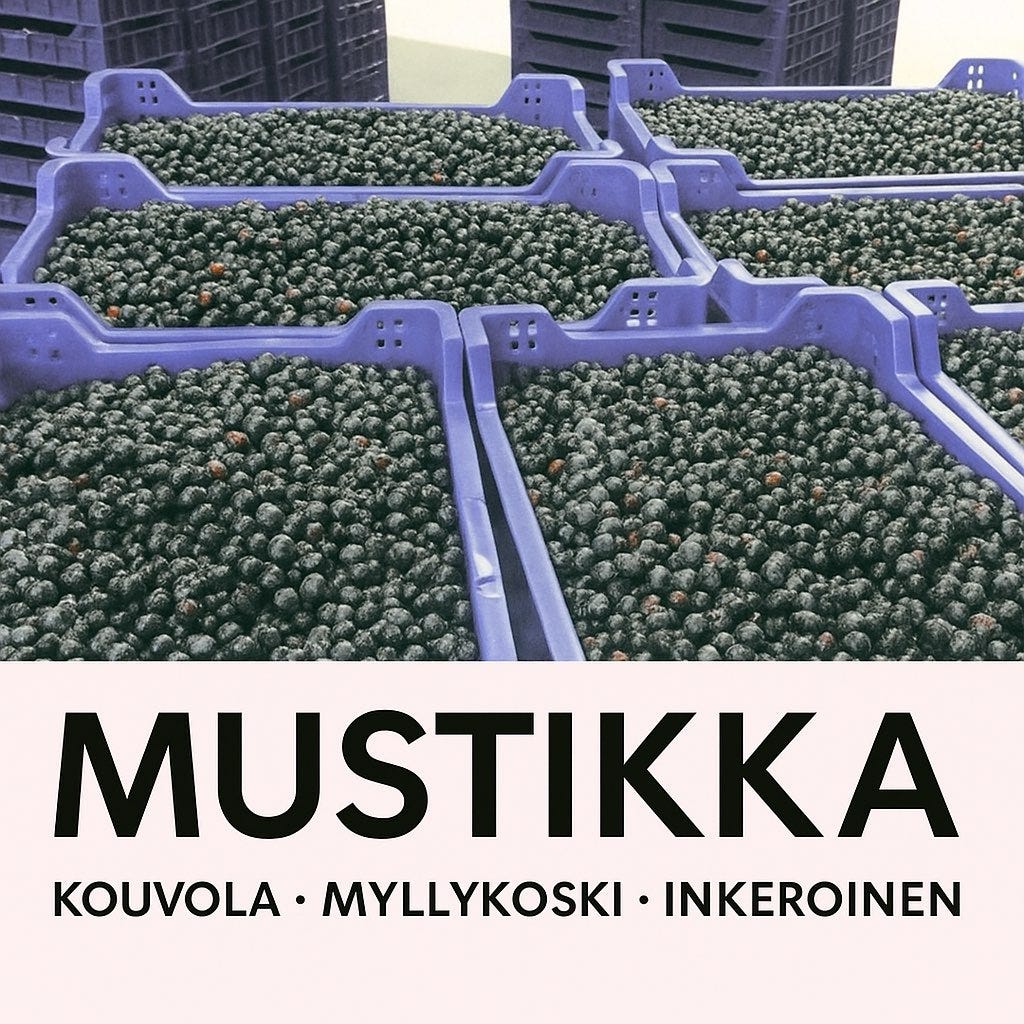 Tuoreita mustikoita
