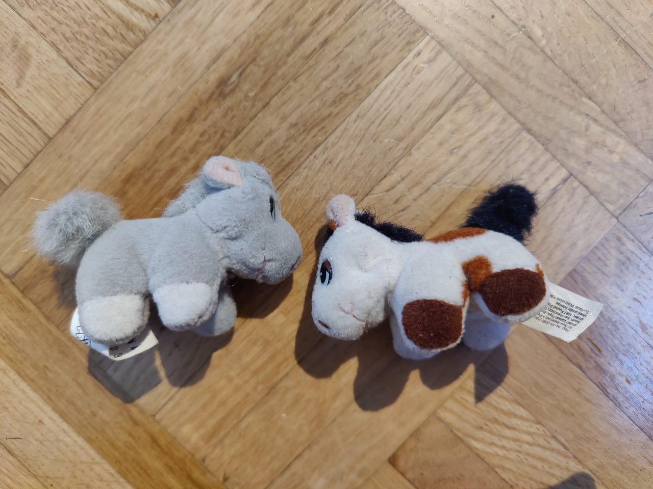 Mini Pound horses