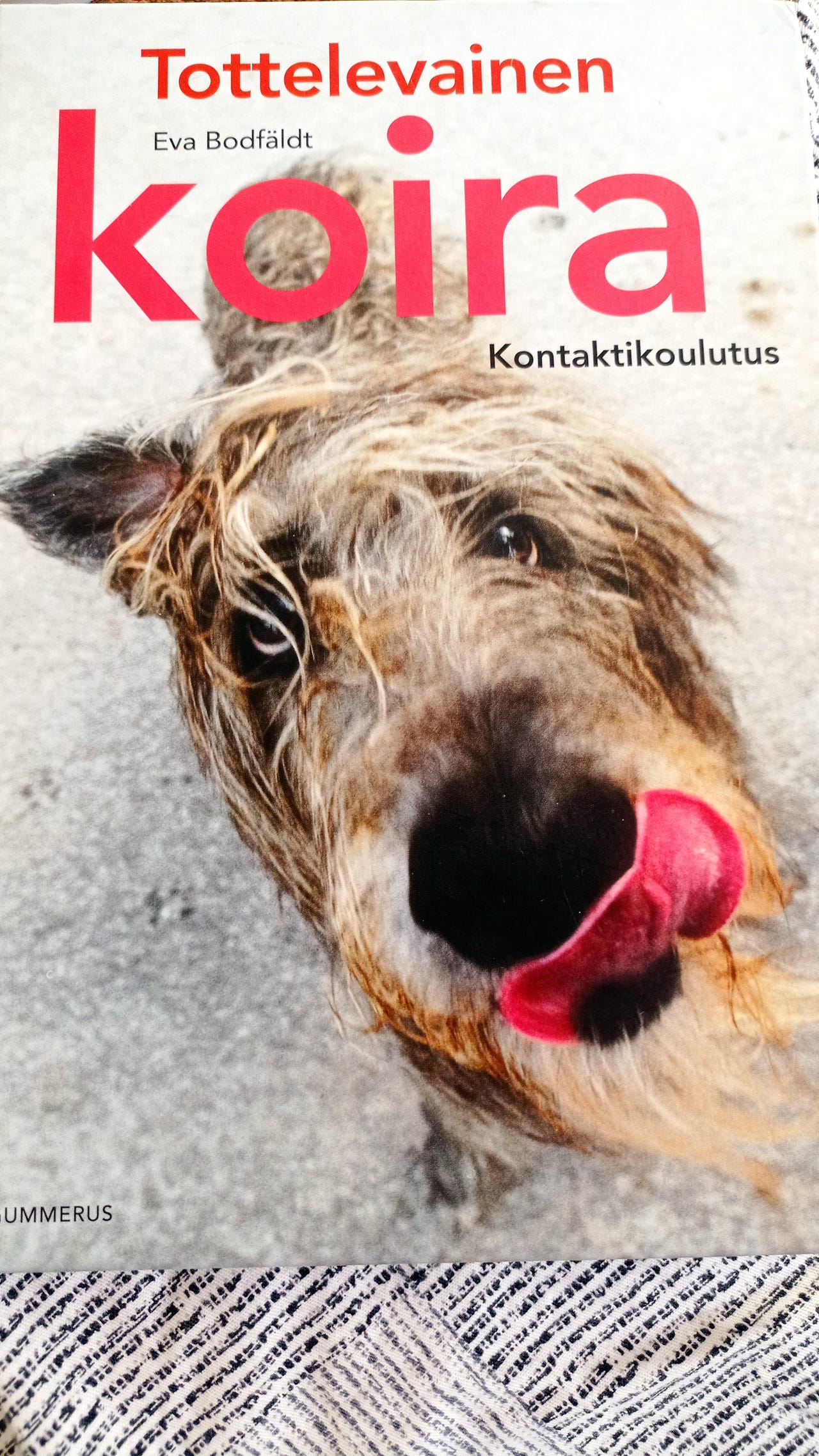 Koirakirja:tottelevainen koira