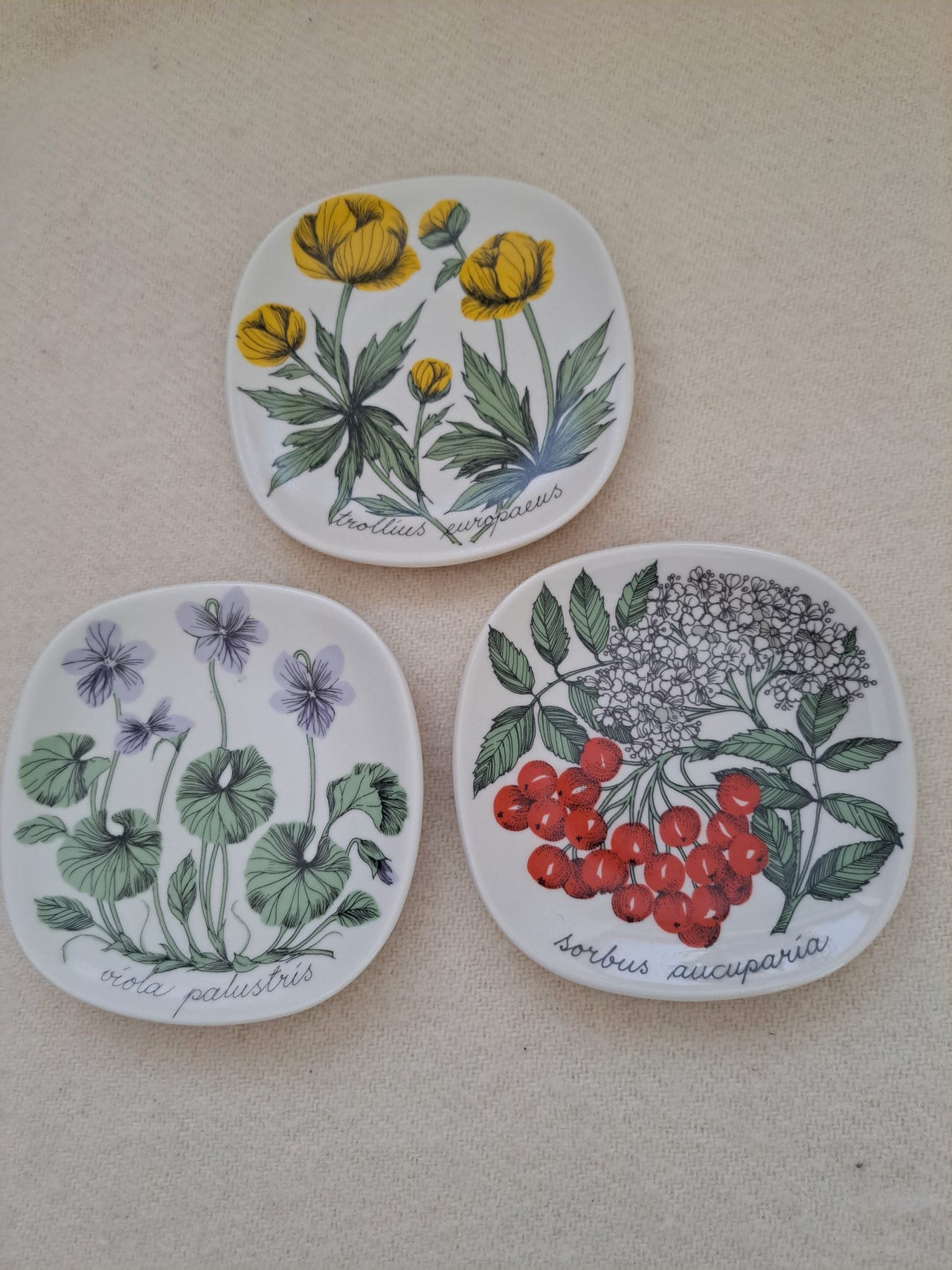 ARABIA エステリ・トムラ ボタニカ /