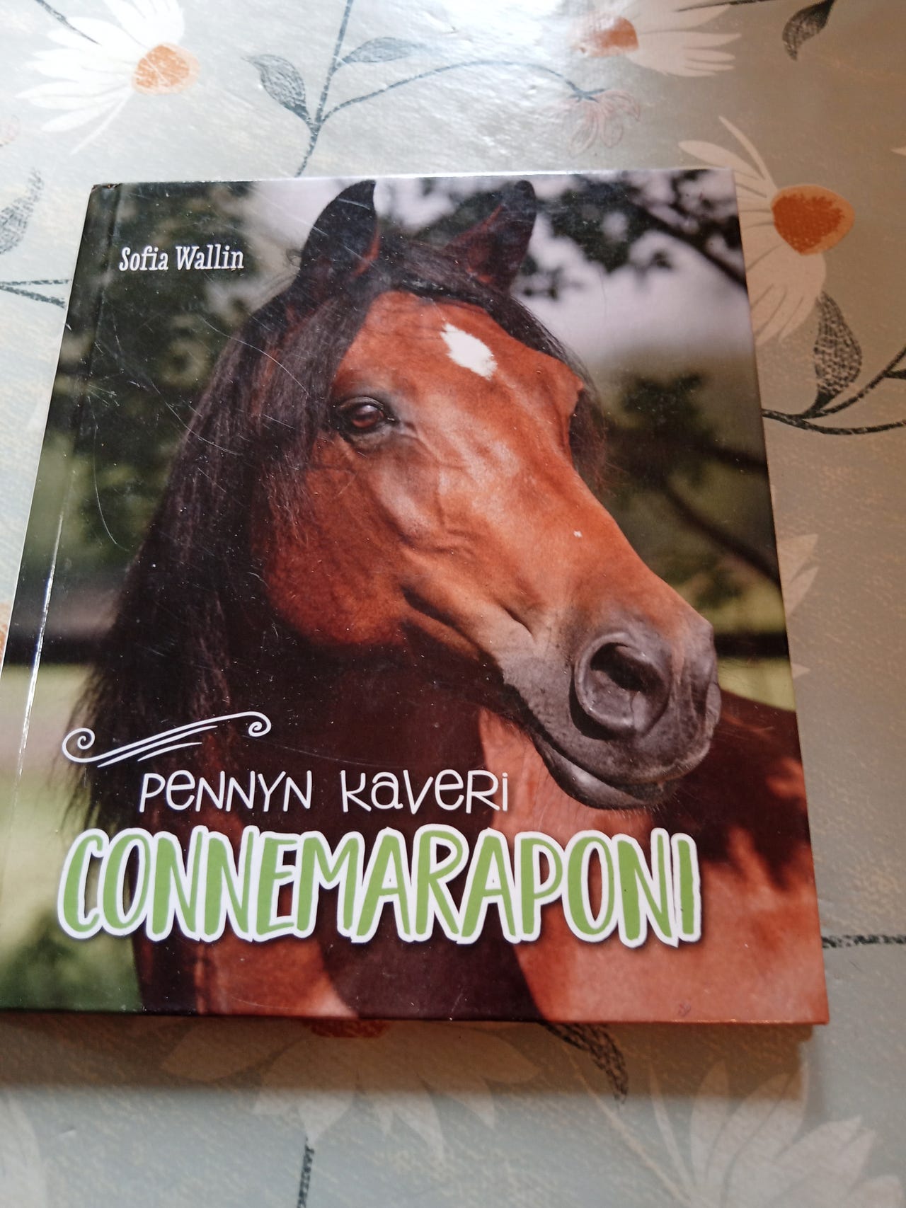 Sofia Wallin Pennyn kaveri Connemaraponi