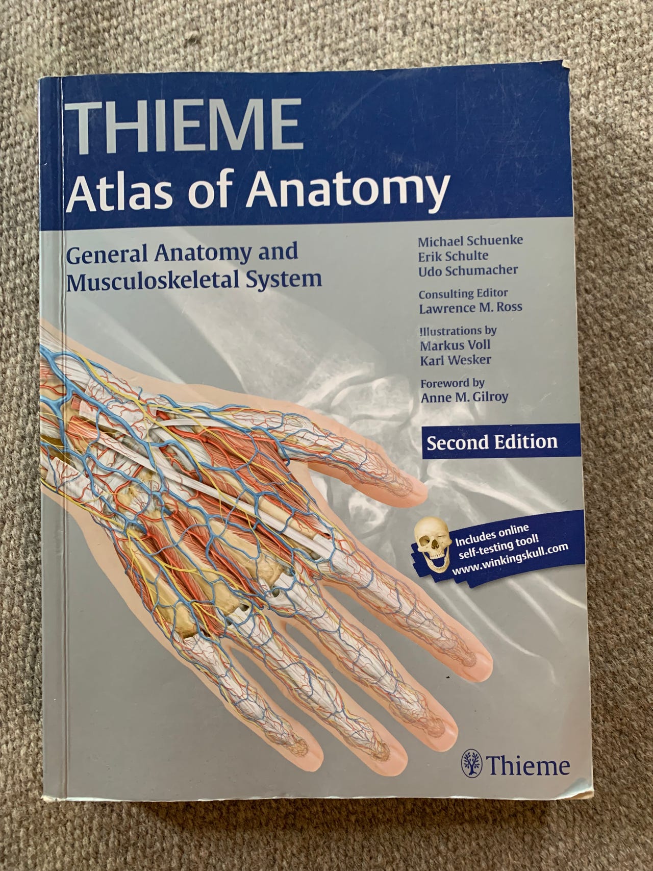 Thieme Atlas of anatomy | Tori
