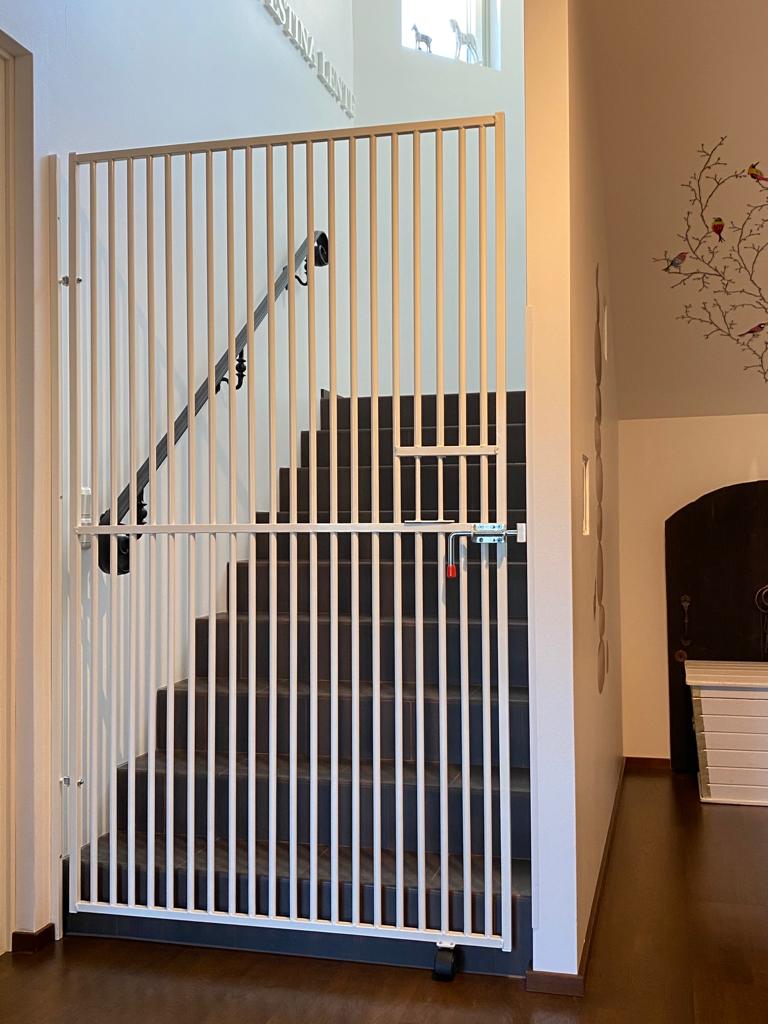 Koiraportti 80 x 180