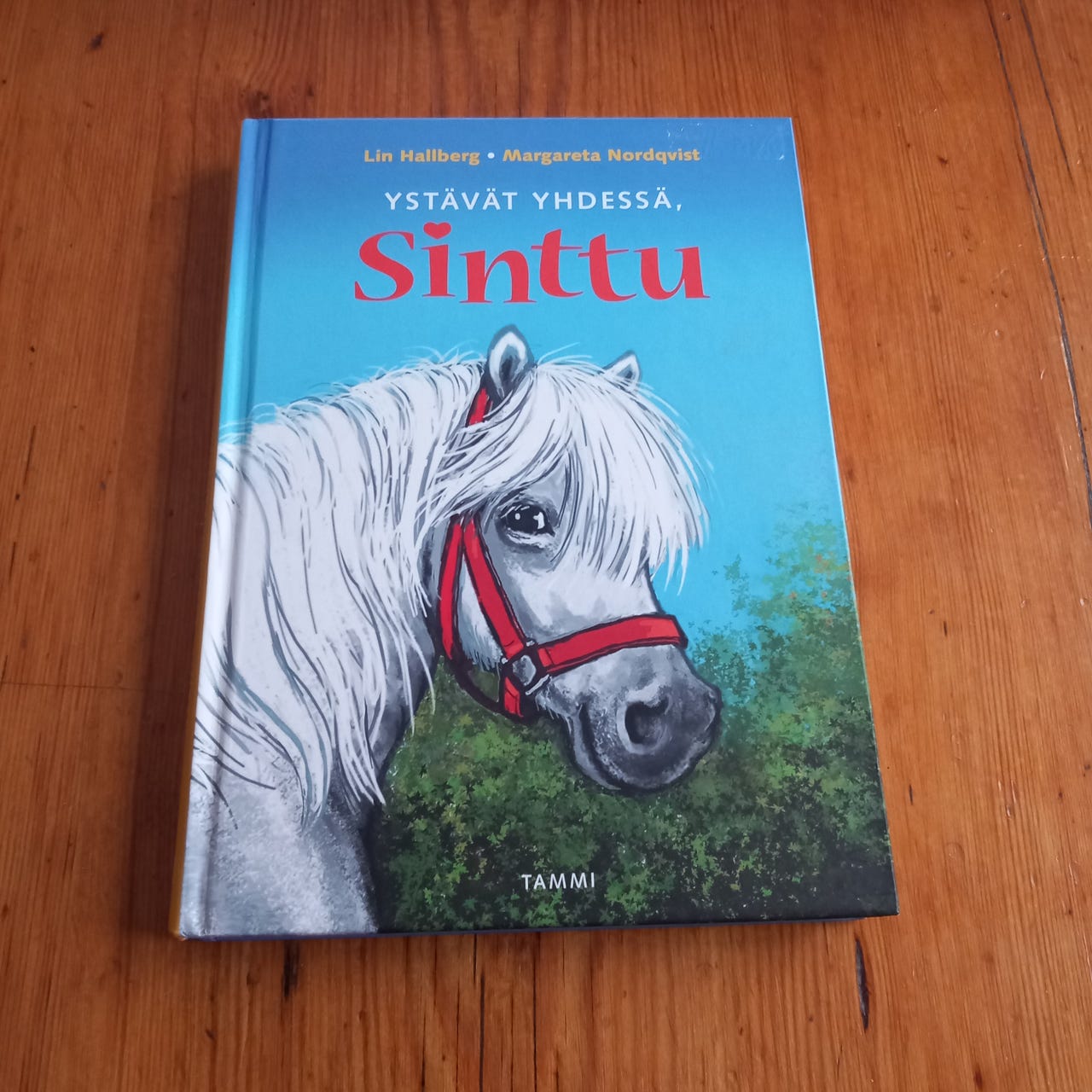 Ystävät yhdessä, Sinttu (Sinttu 13)