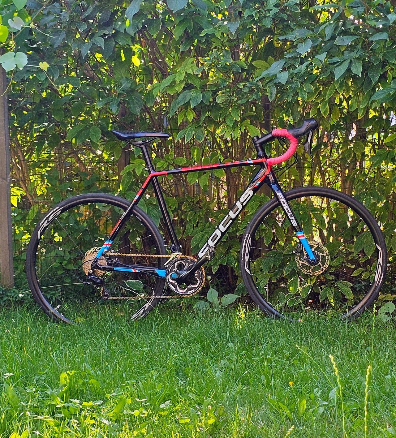 Focus Mares AL 105 M cyclocrosspyörä | Tori