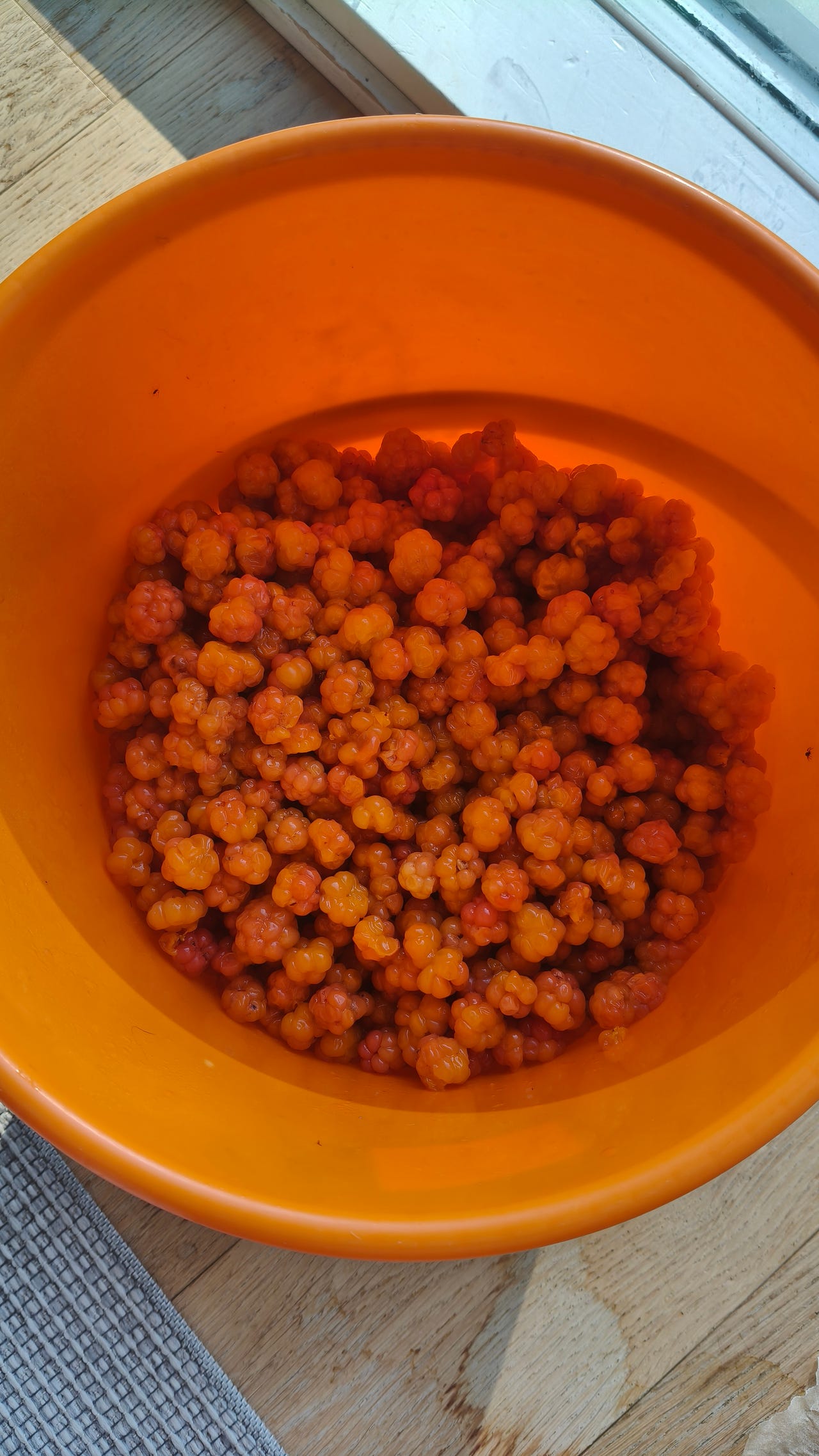 Hillaa 5kg