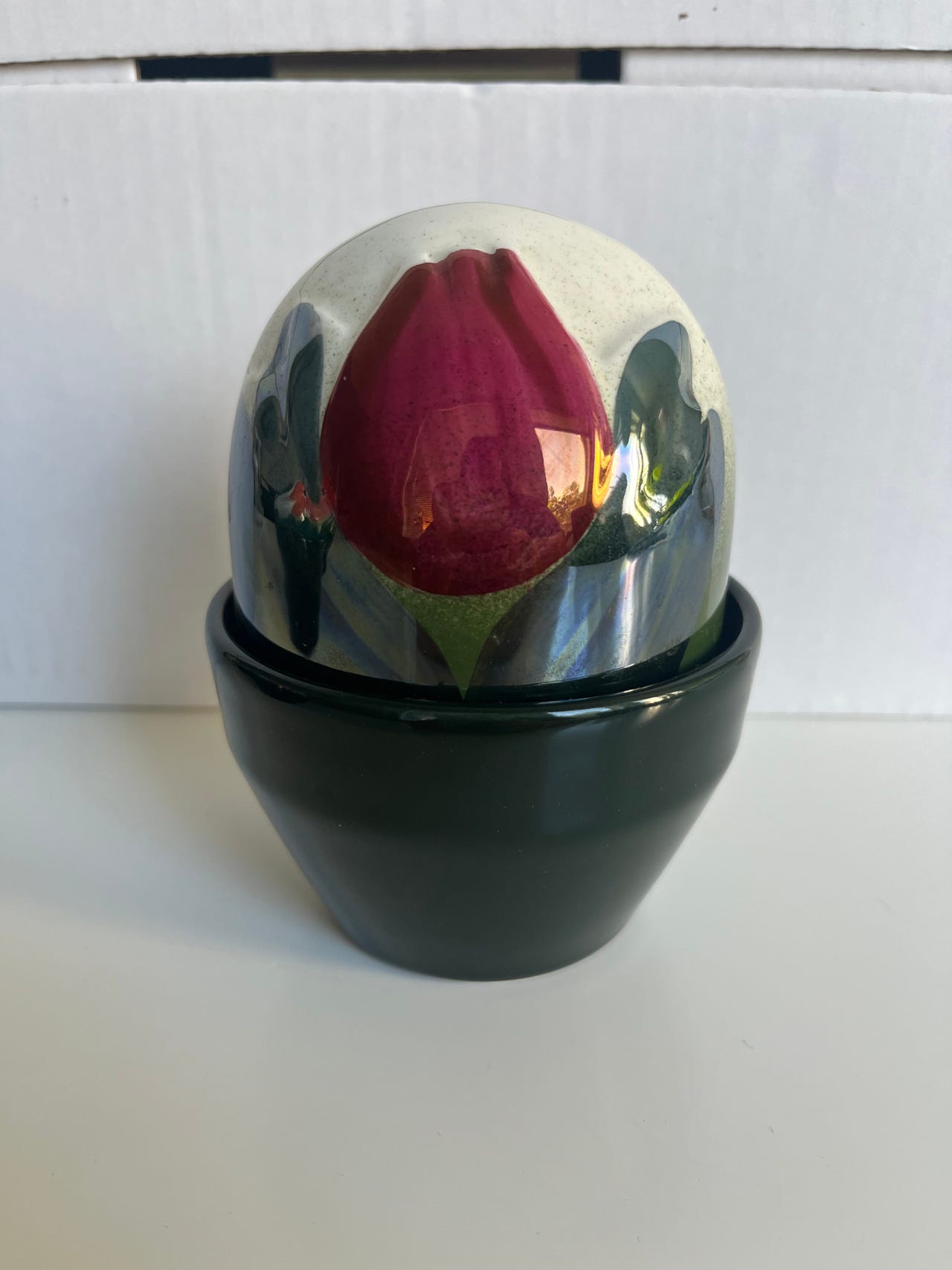 Arabia ikikukka tulppaani