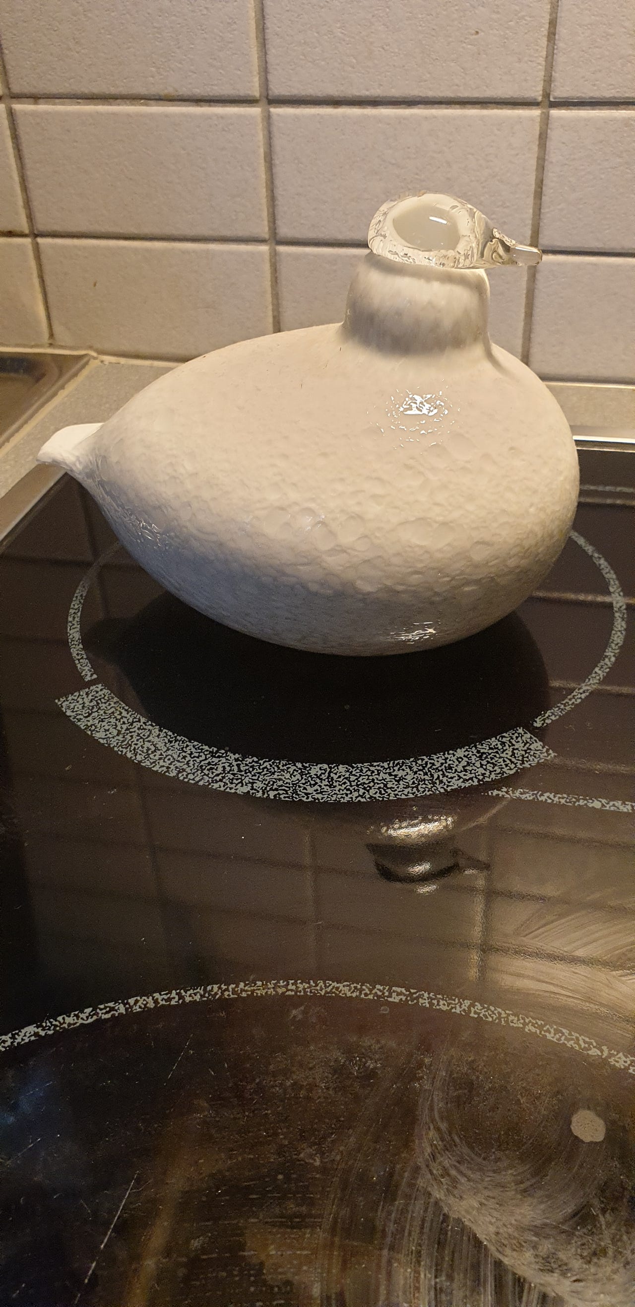 Lasilintu oiva toikka riekko