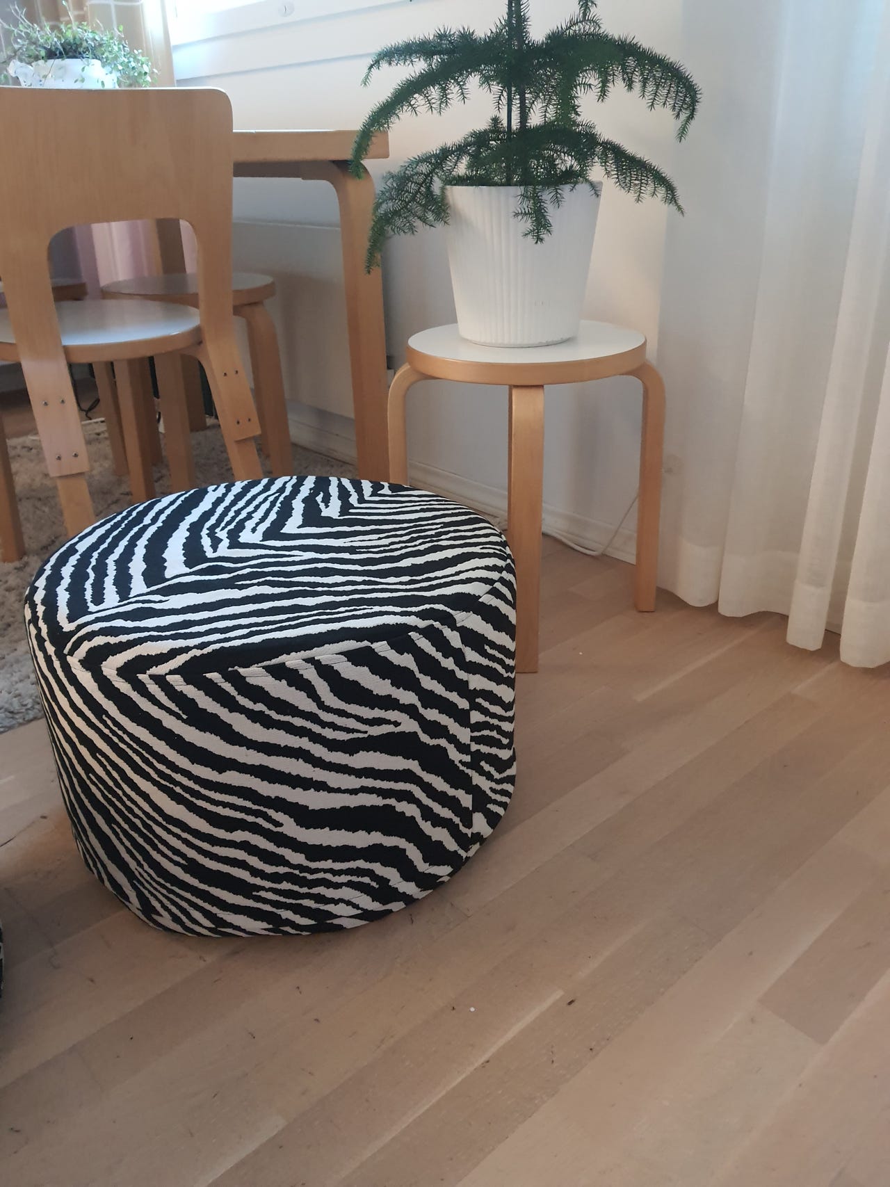 Zebra kuvioinen rahi | Tori