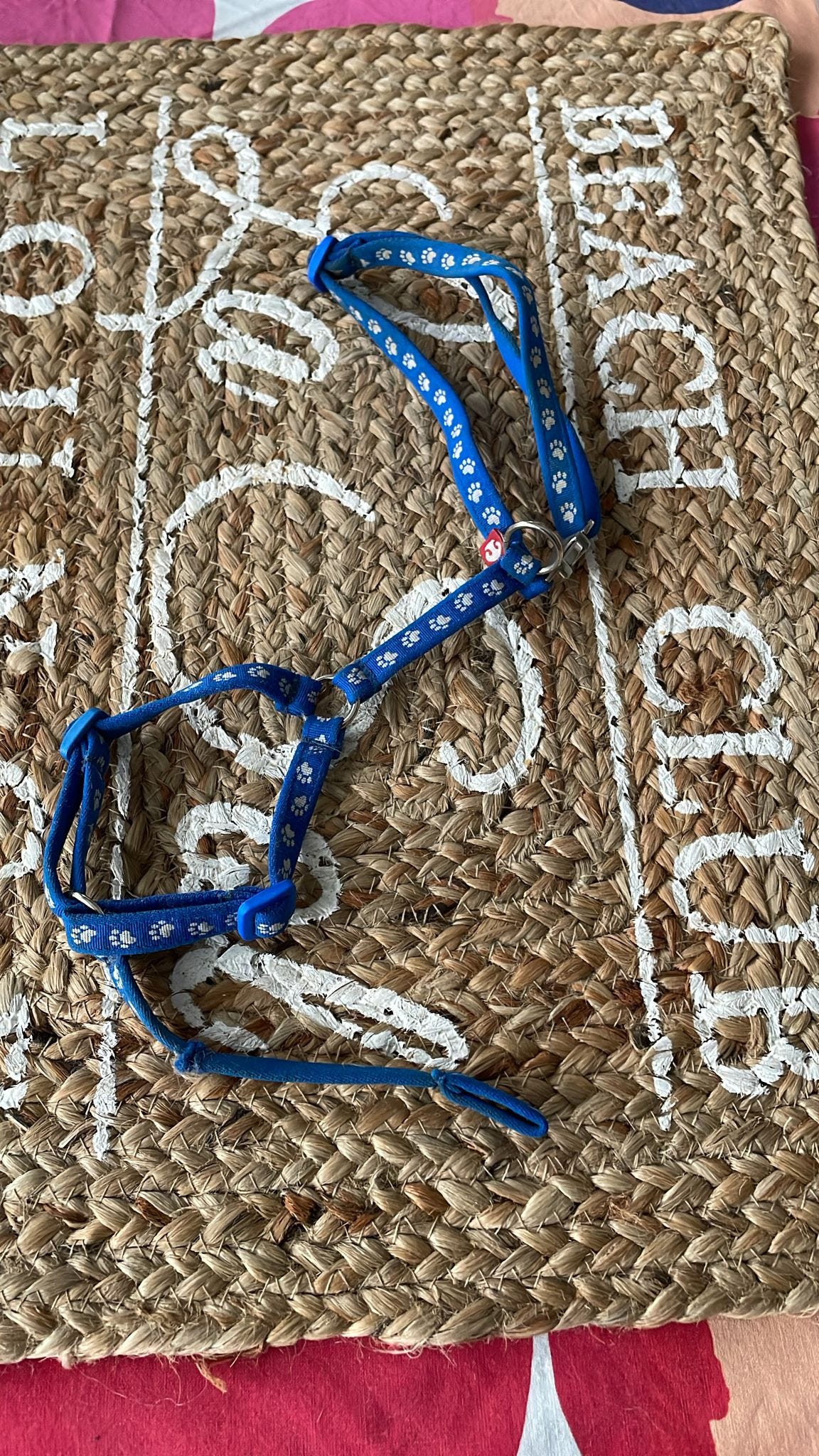 Pennun/pienen koiran valjaat