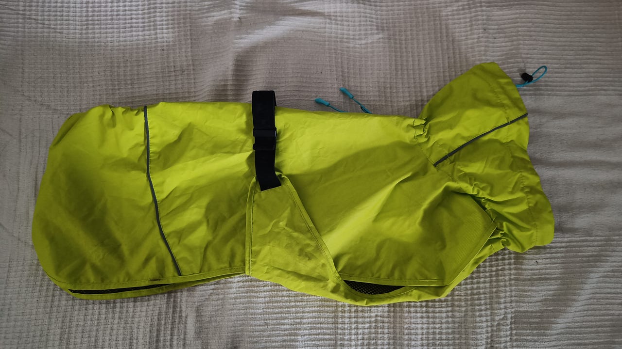 Icepeak koiran sadetakki koko M
